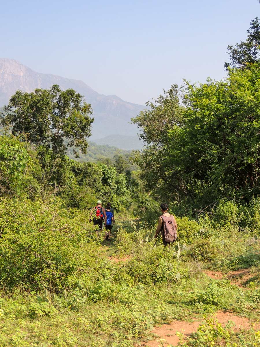 Hikers trekking through jungle on Chinnar Bush Walk hiking in SW Ghats India