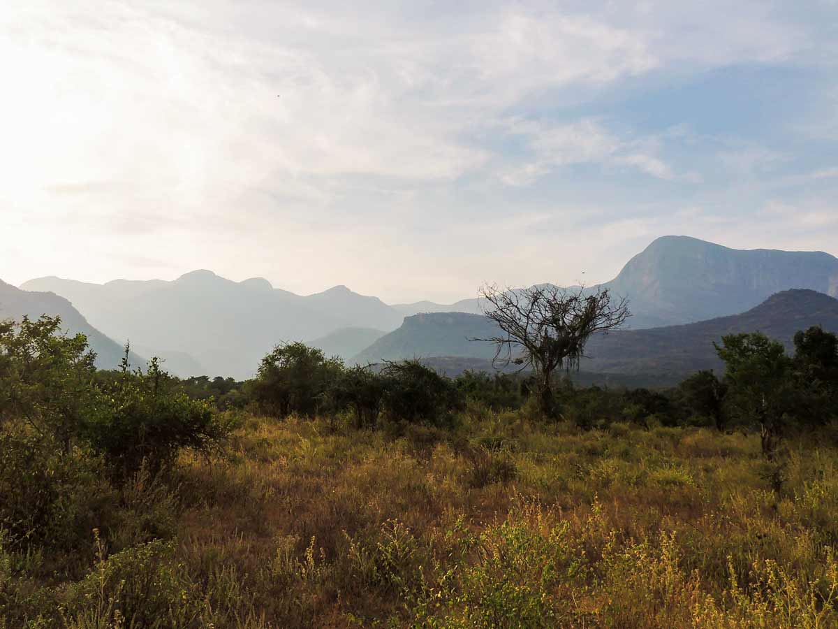 SW Ghats India hiking on Chinnar Bush Walk in the afternoon sun