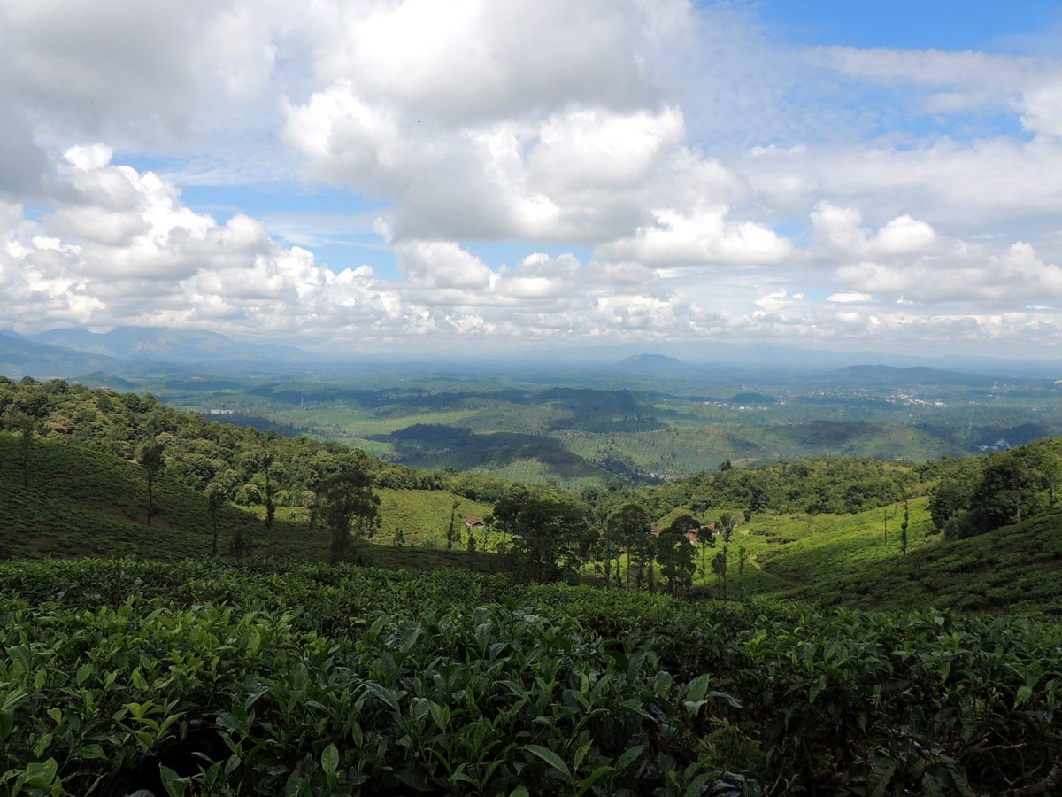 Beautiful green valley along Brahmagiri hike Wayanad