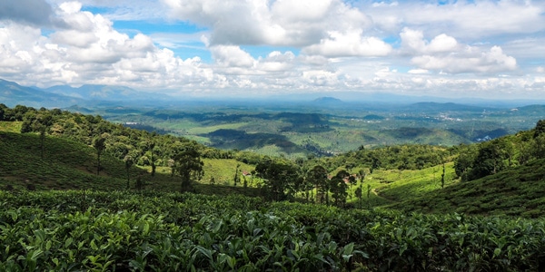 Brahmagiri Peak Hike