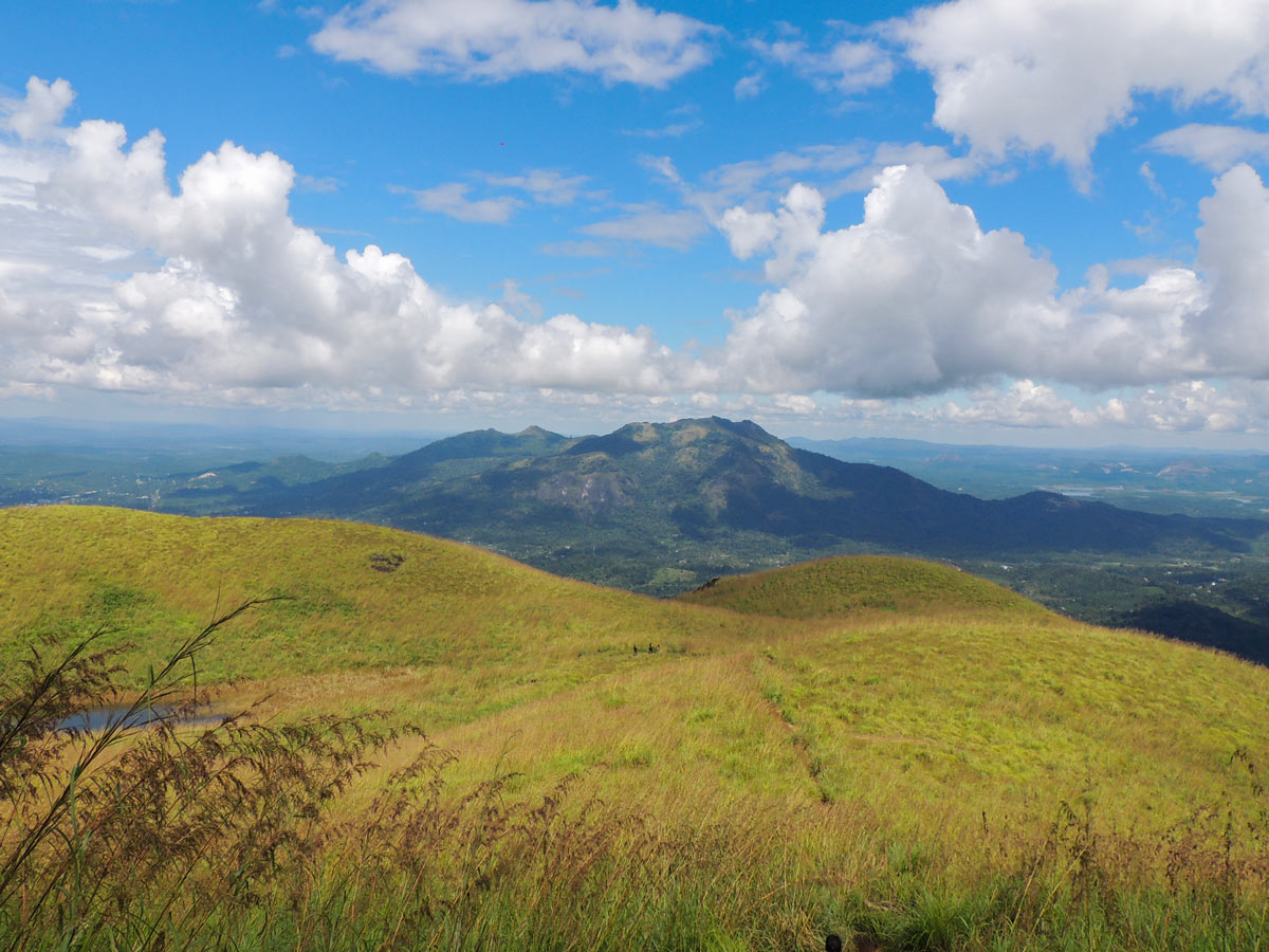 View from Chembra Peak hiking in SW Ghats India