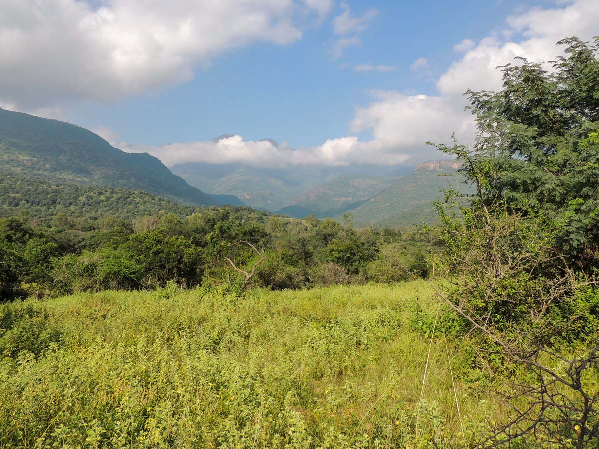 Beautiful valley and hiking in SW Ghats India