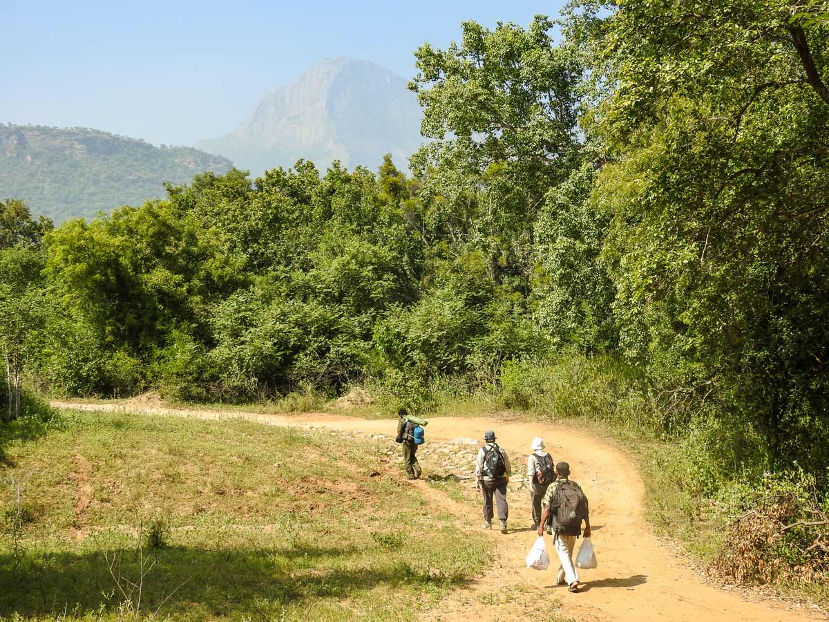 SW Ghats India hiking on Chinnar Bush Walk