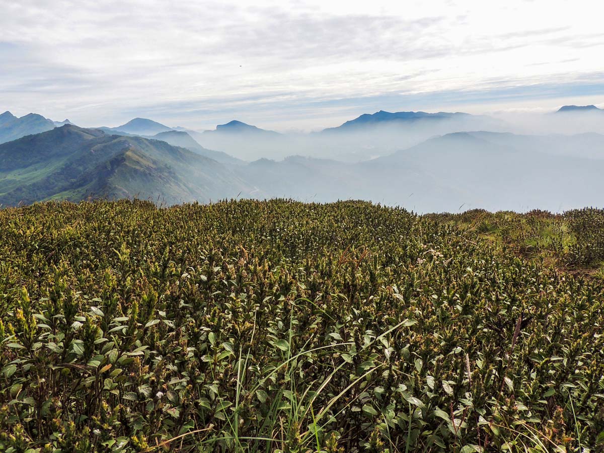 Views of fog on the mountains from Chokkanmudi Trek in SW Ghats India