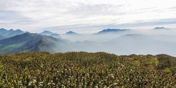 Chokramudi (Shiva's Head) Hike