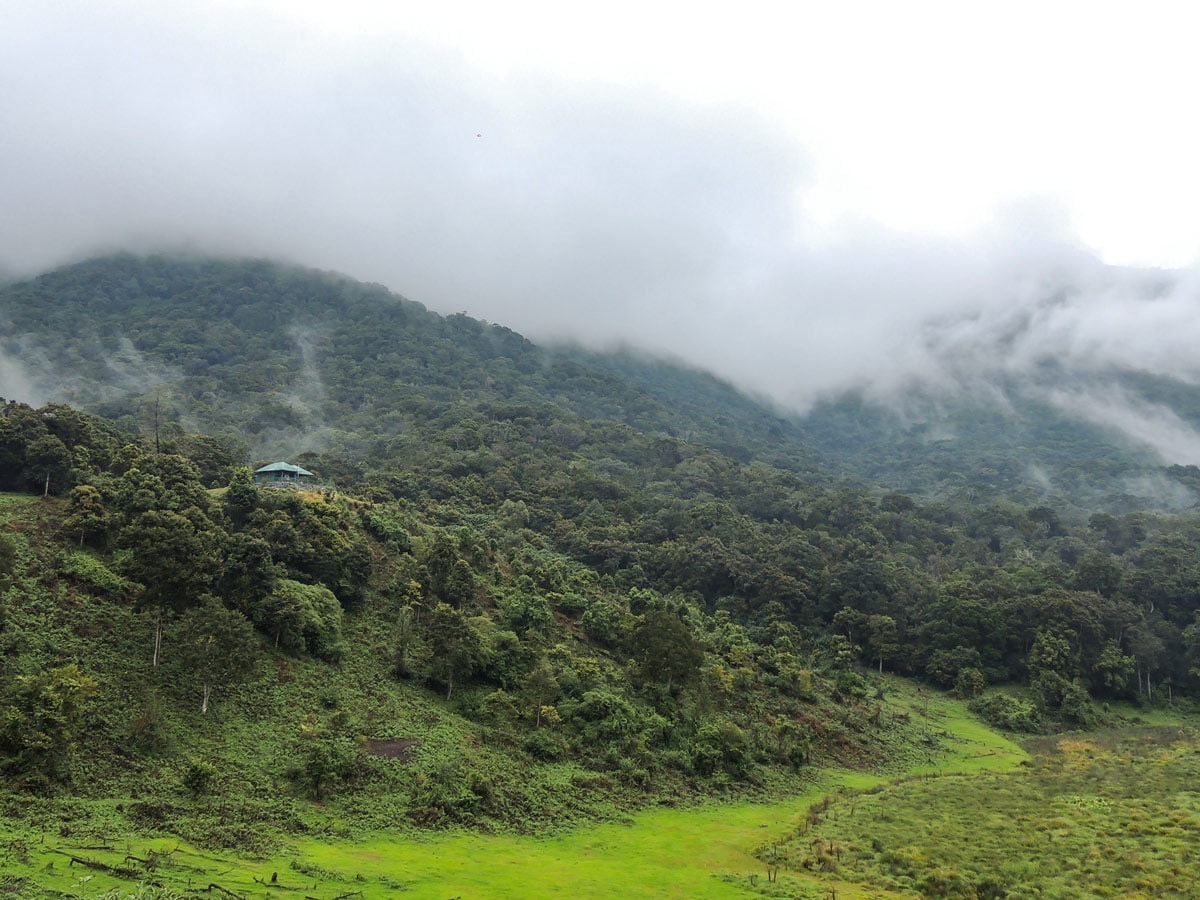 Pamchola hiking on Cloud Forest Walk in SW Ghats India