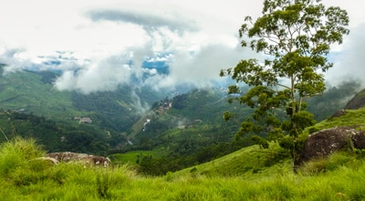 Lakshmi Hills Hike