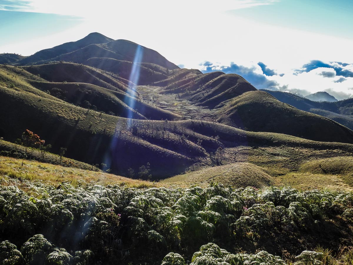 Sunrays in the Indian mountains hiking in Meesapulimala SW Ghats India