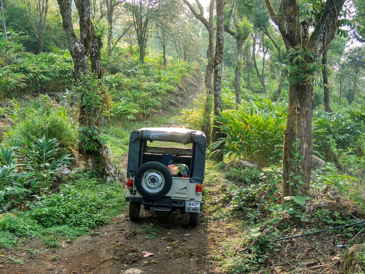 Farm safari in SW Ghats India