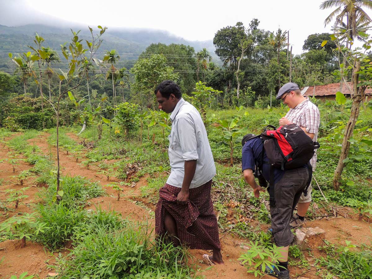 Farm visit in SW Ghats India