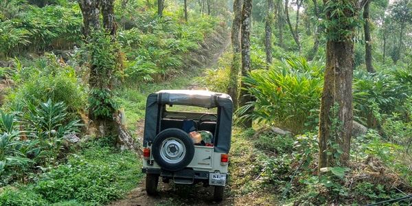 Old Cart Road Hike