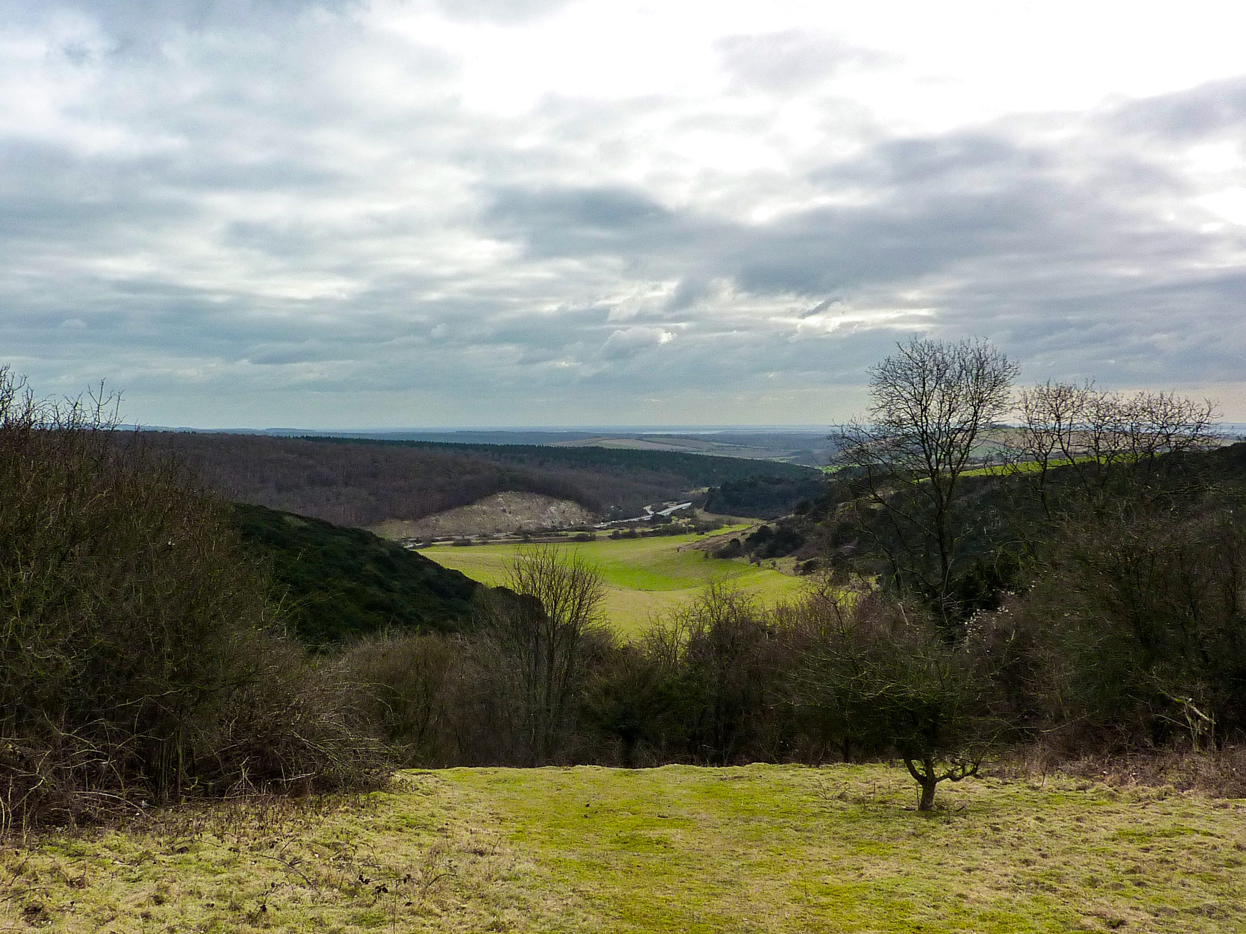 Queen Elizabeth Country Park Walk