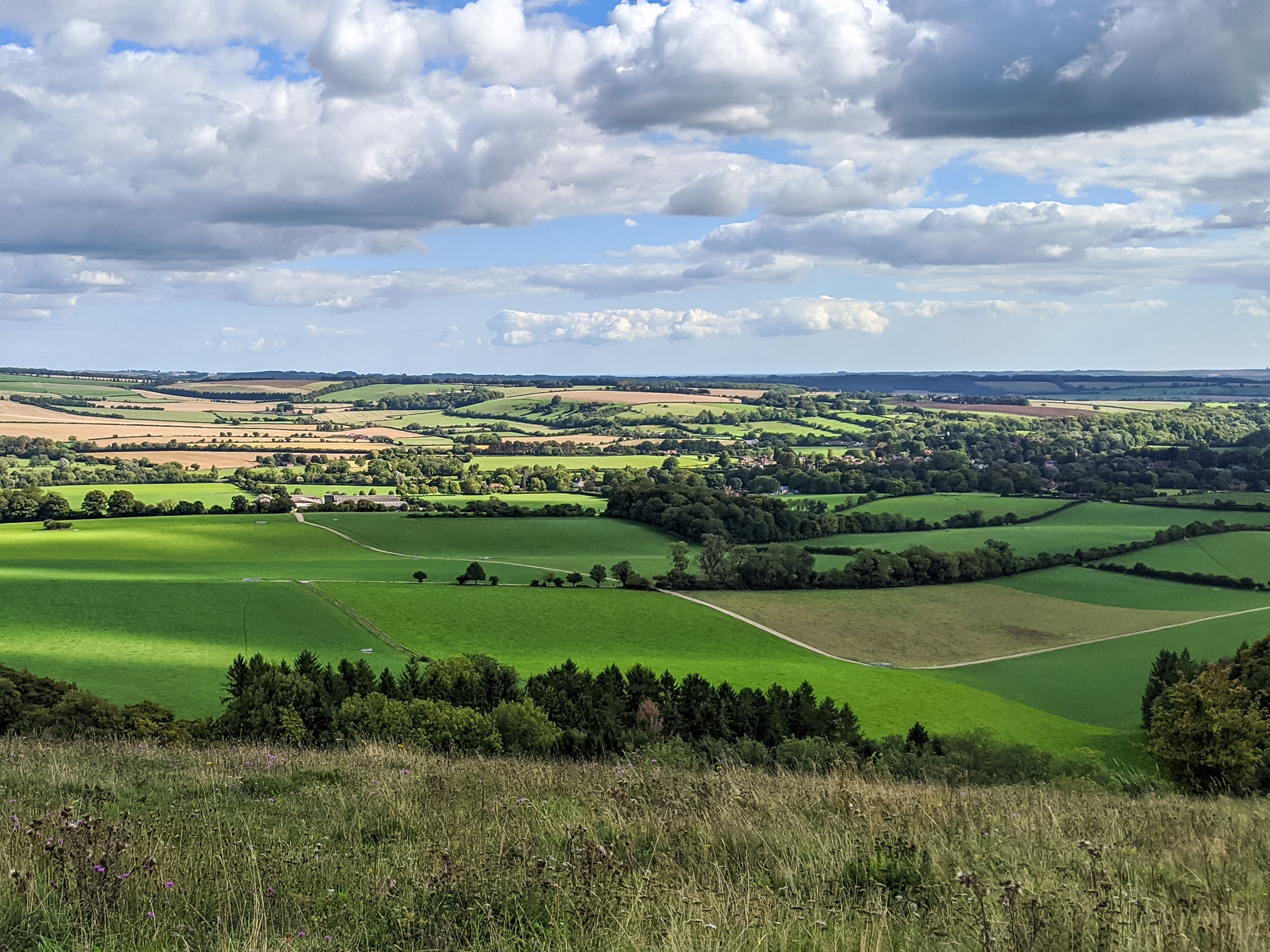 View From Beacon Hill along Exton walk South Downs England UK