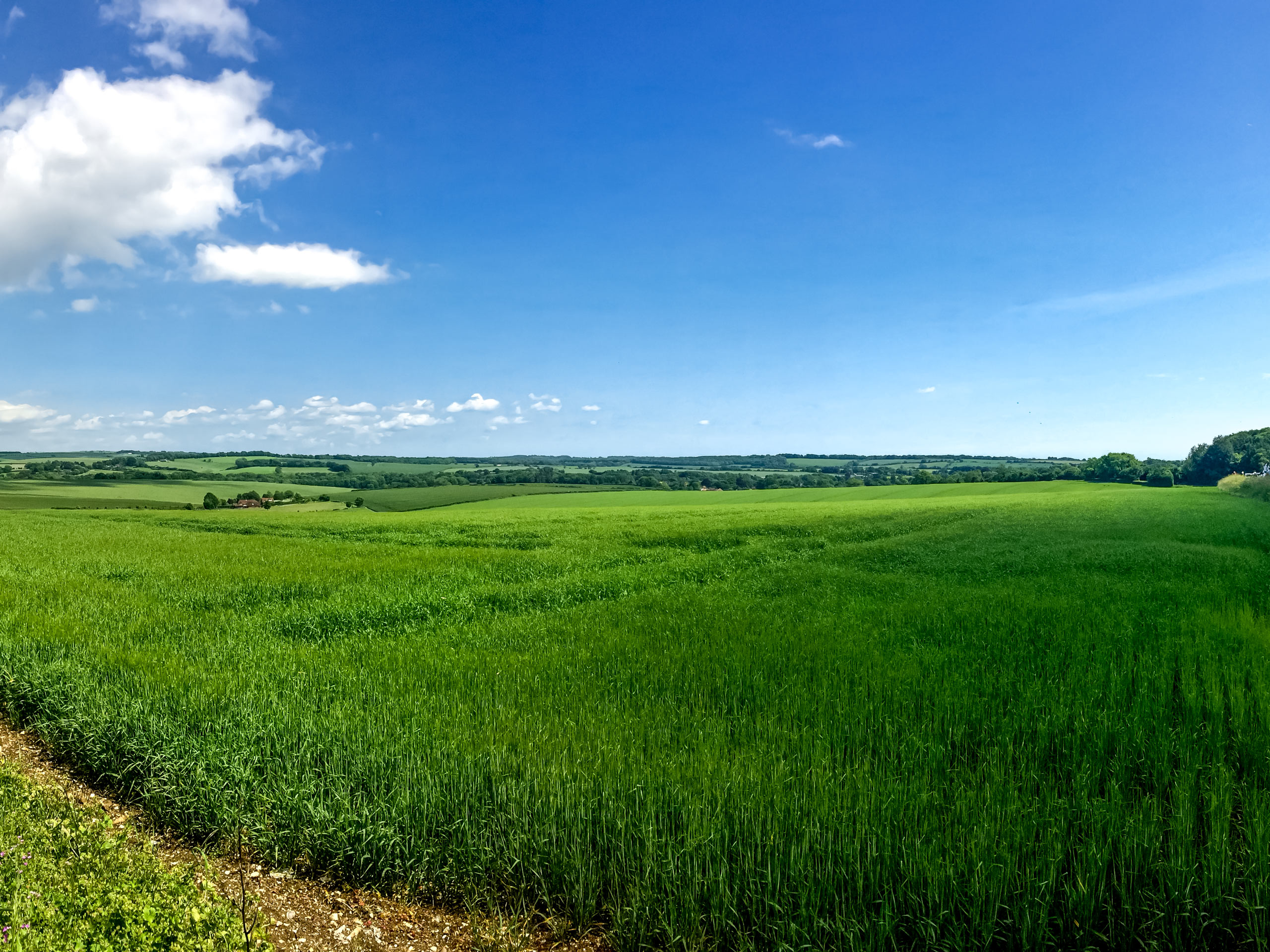 View of Exton and Corhampton across field
