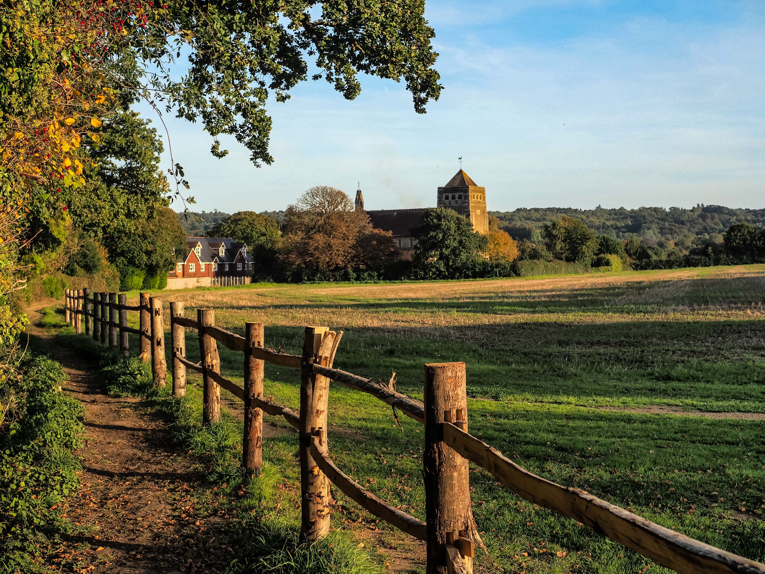 Wooden fence near Liss walking routes in South Downs