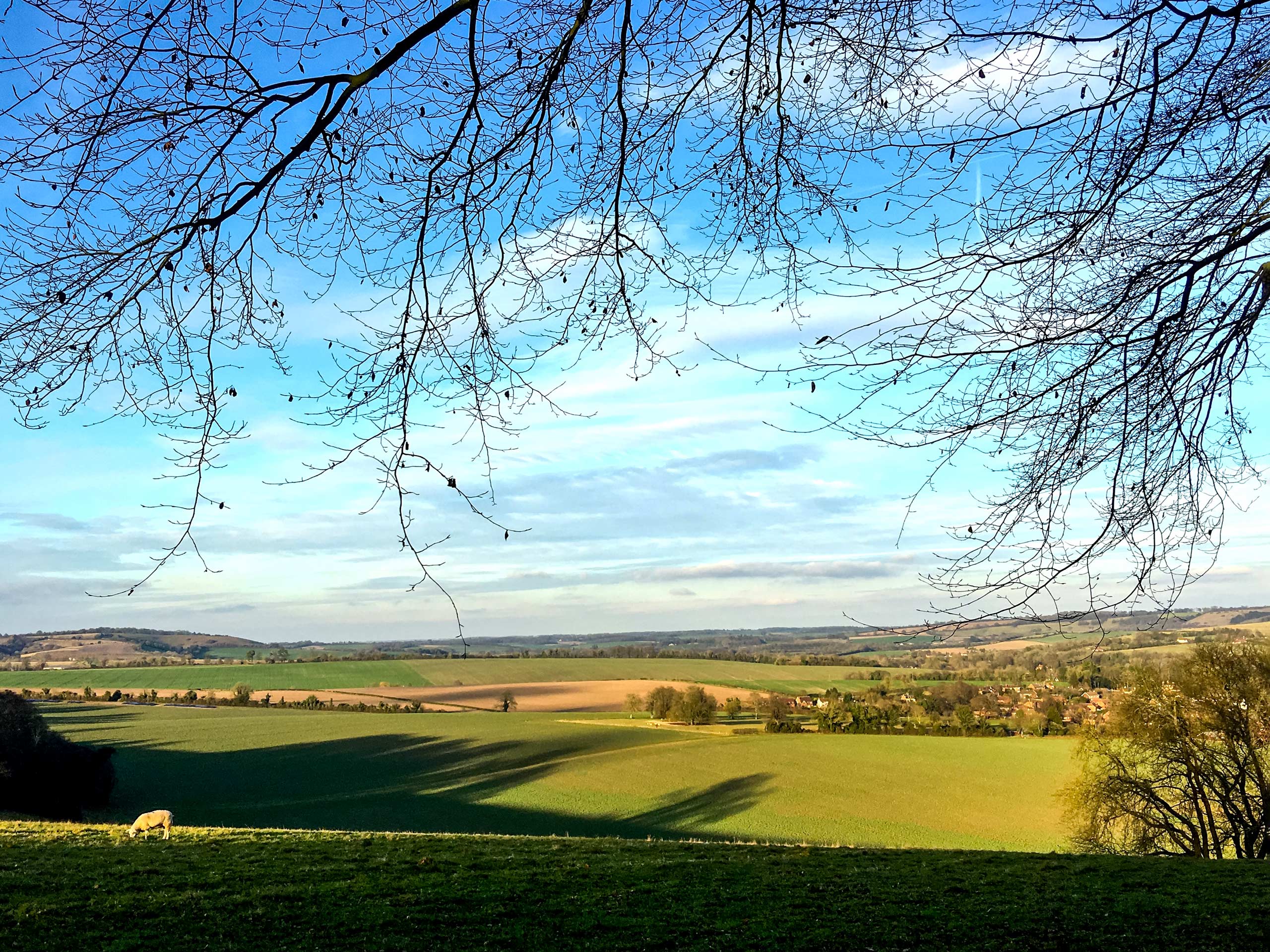 Sunny pastures walking through Meon Valley South Downs England UK