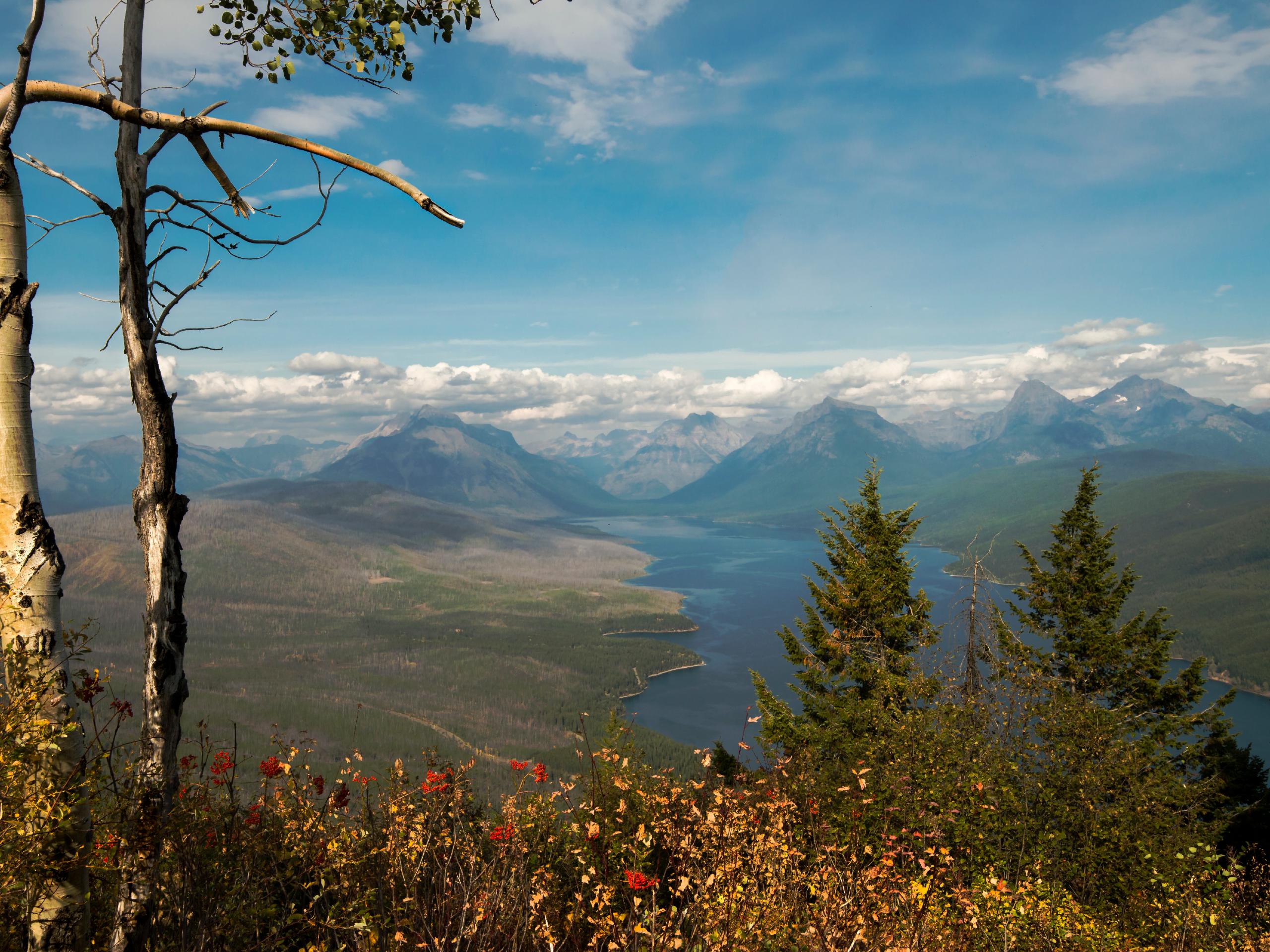 amazing views from the apgar lookout