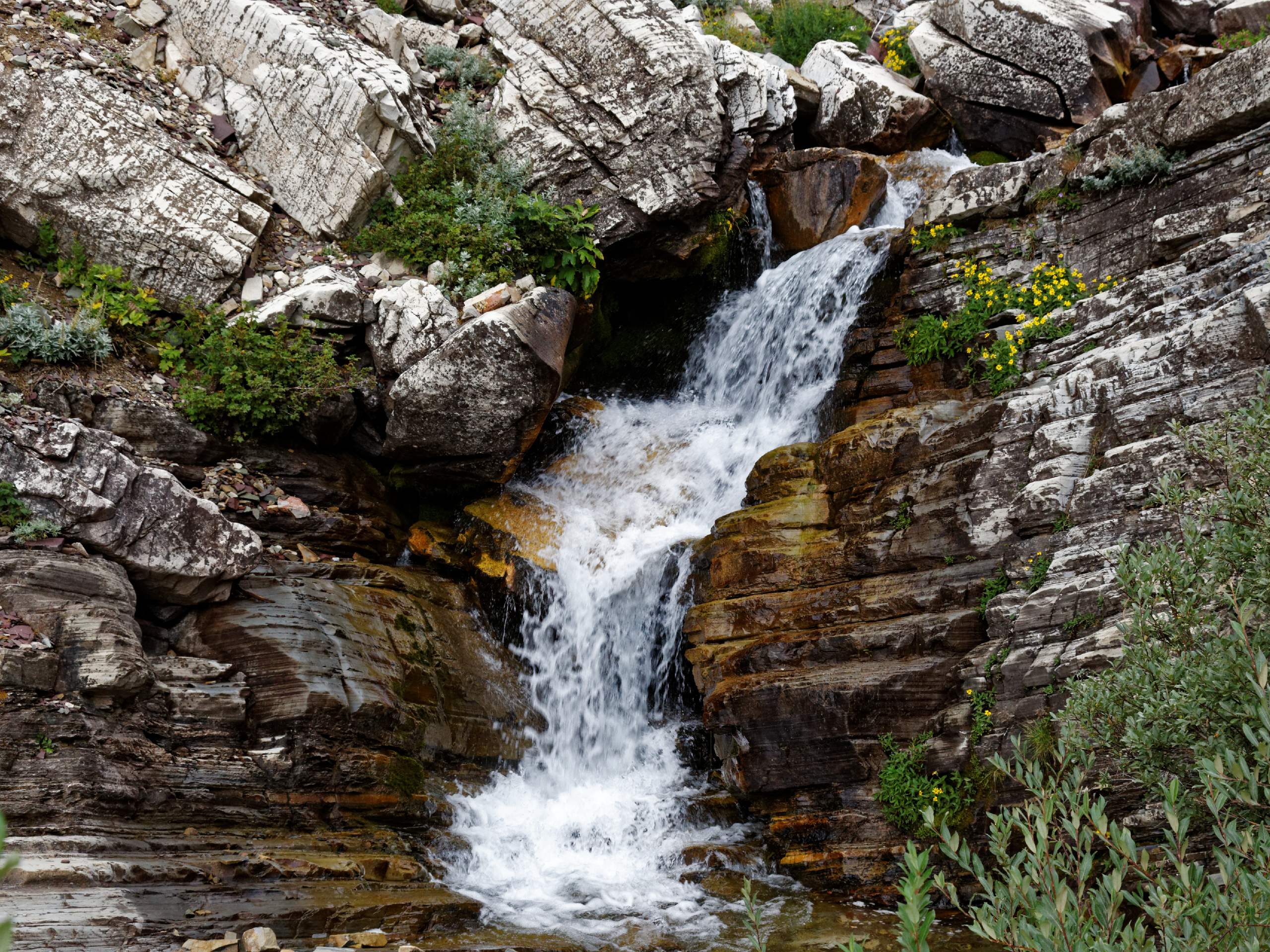 Apikuni Falls Trail
