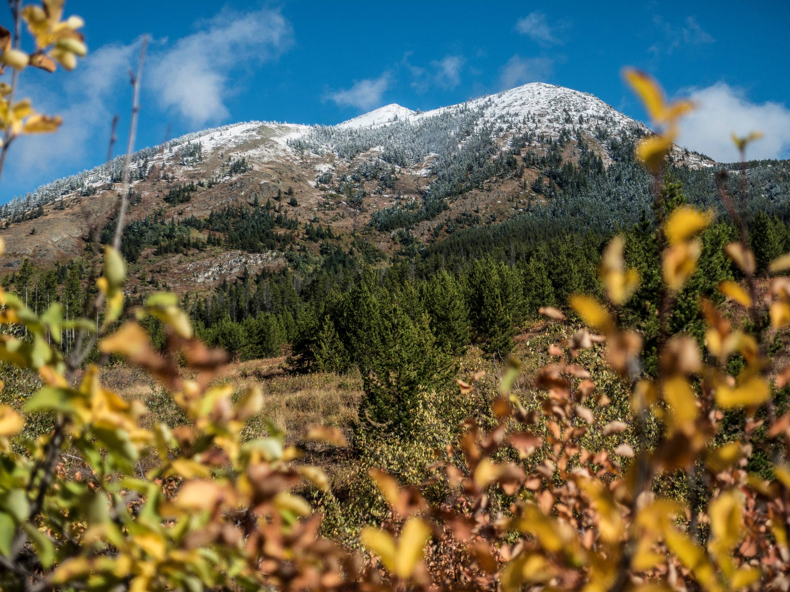 Elk Mountain Trail