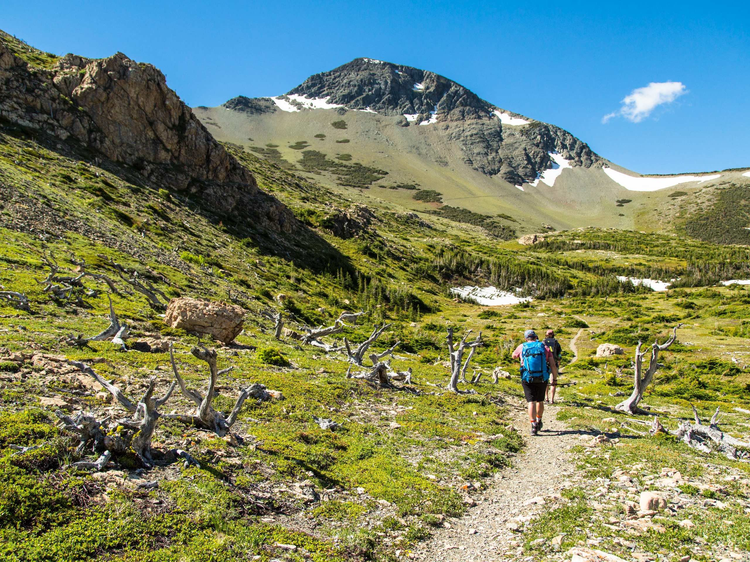 Hikers on the Firebrand Pass Trail