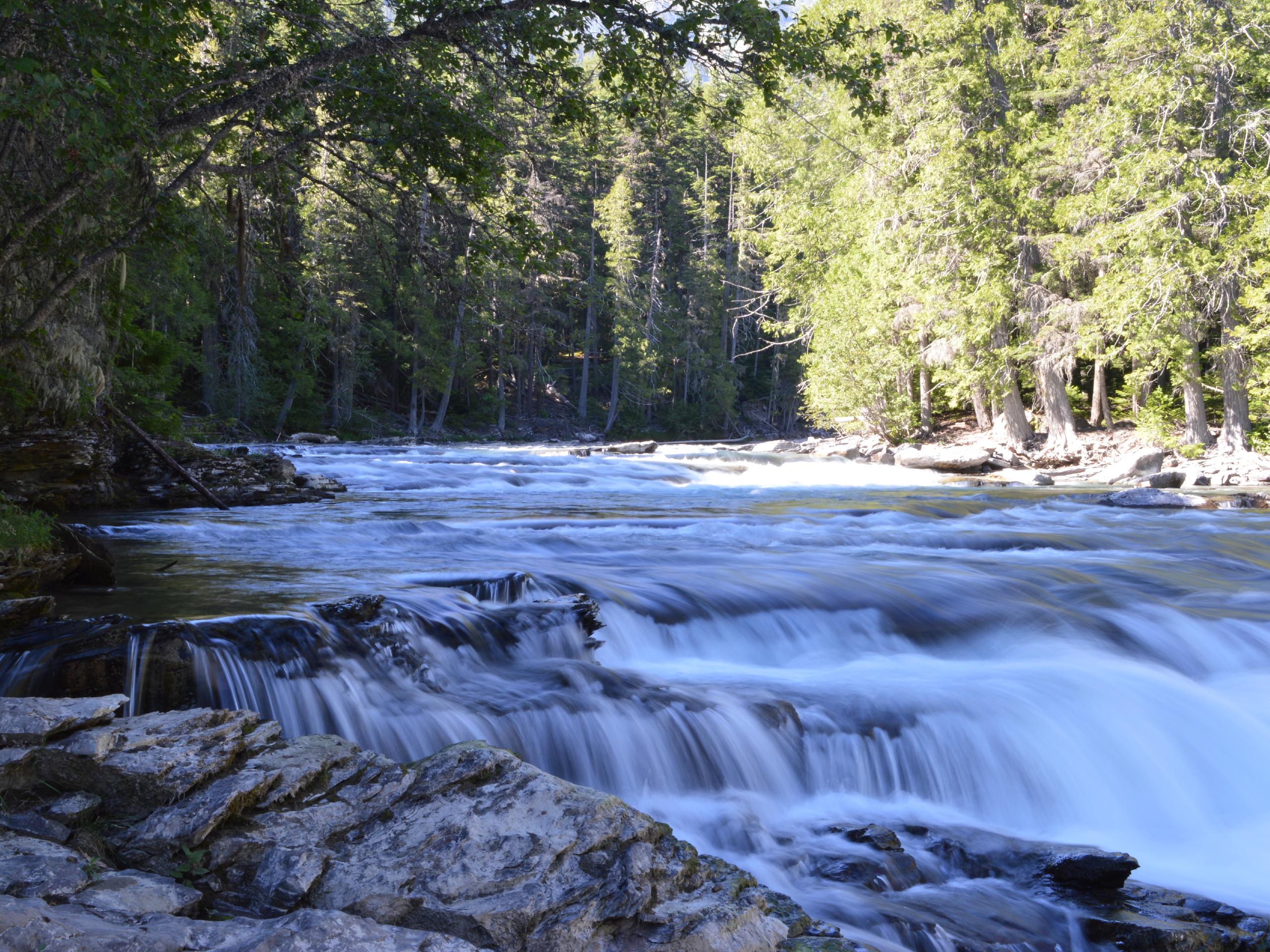 McDonald Creek Trail