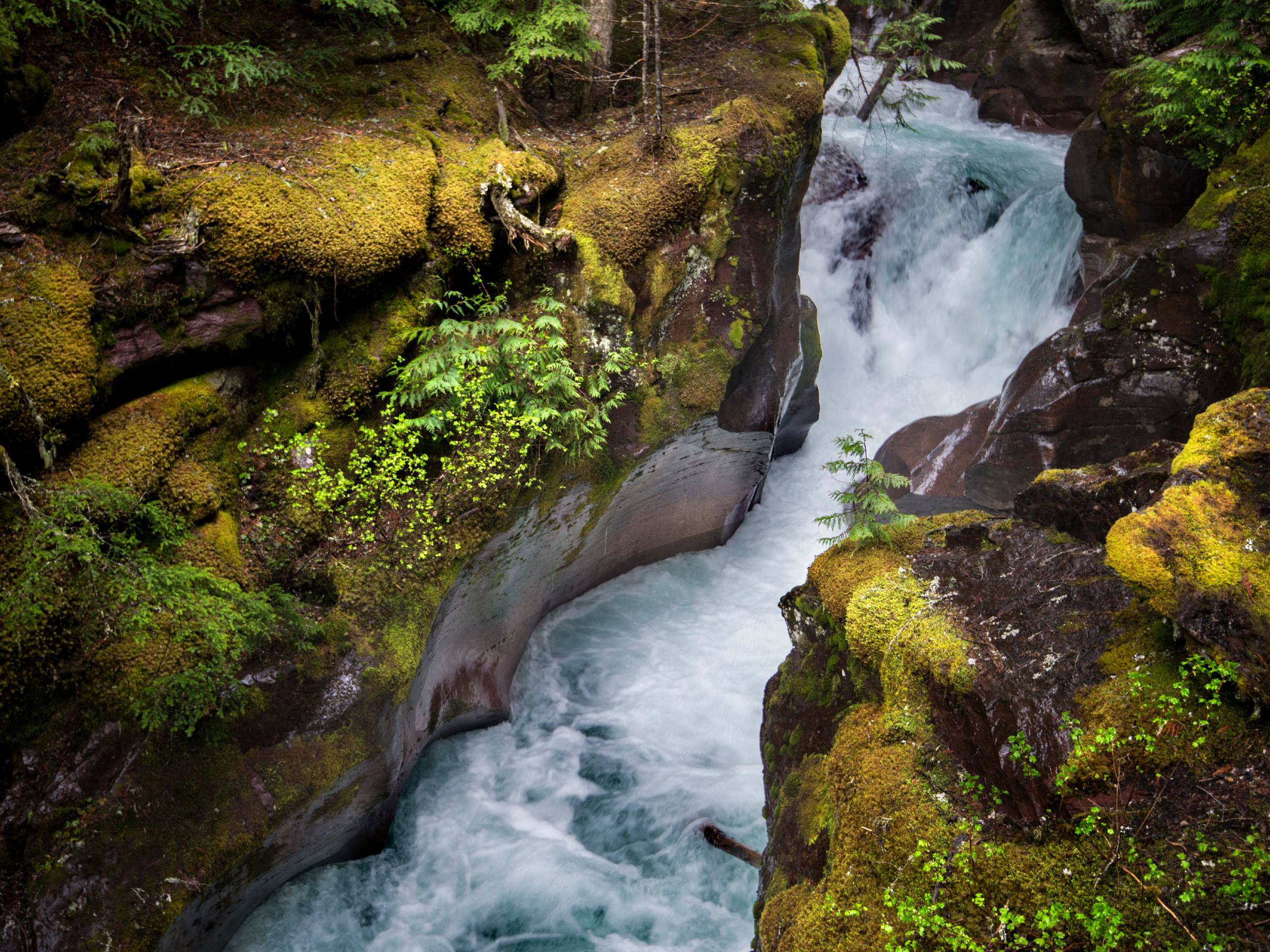 great stream views on the Trail of the Cedars