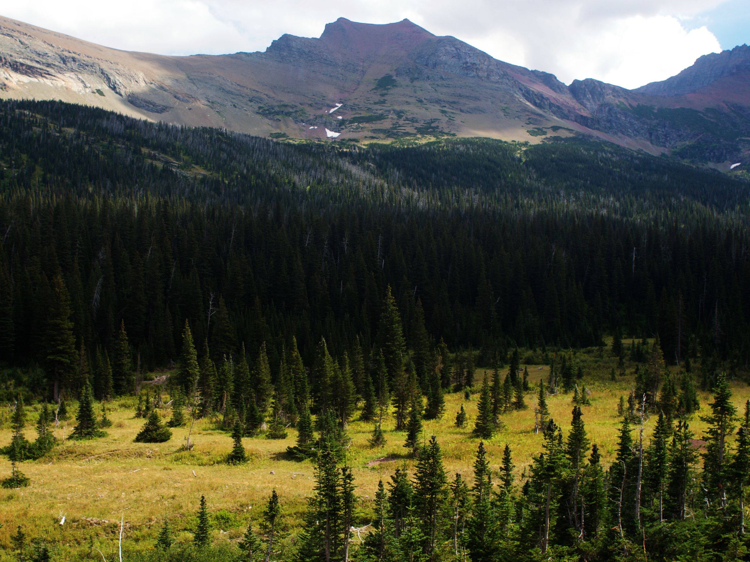 stunning views on the Triple Divide Pass Trail