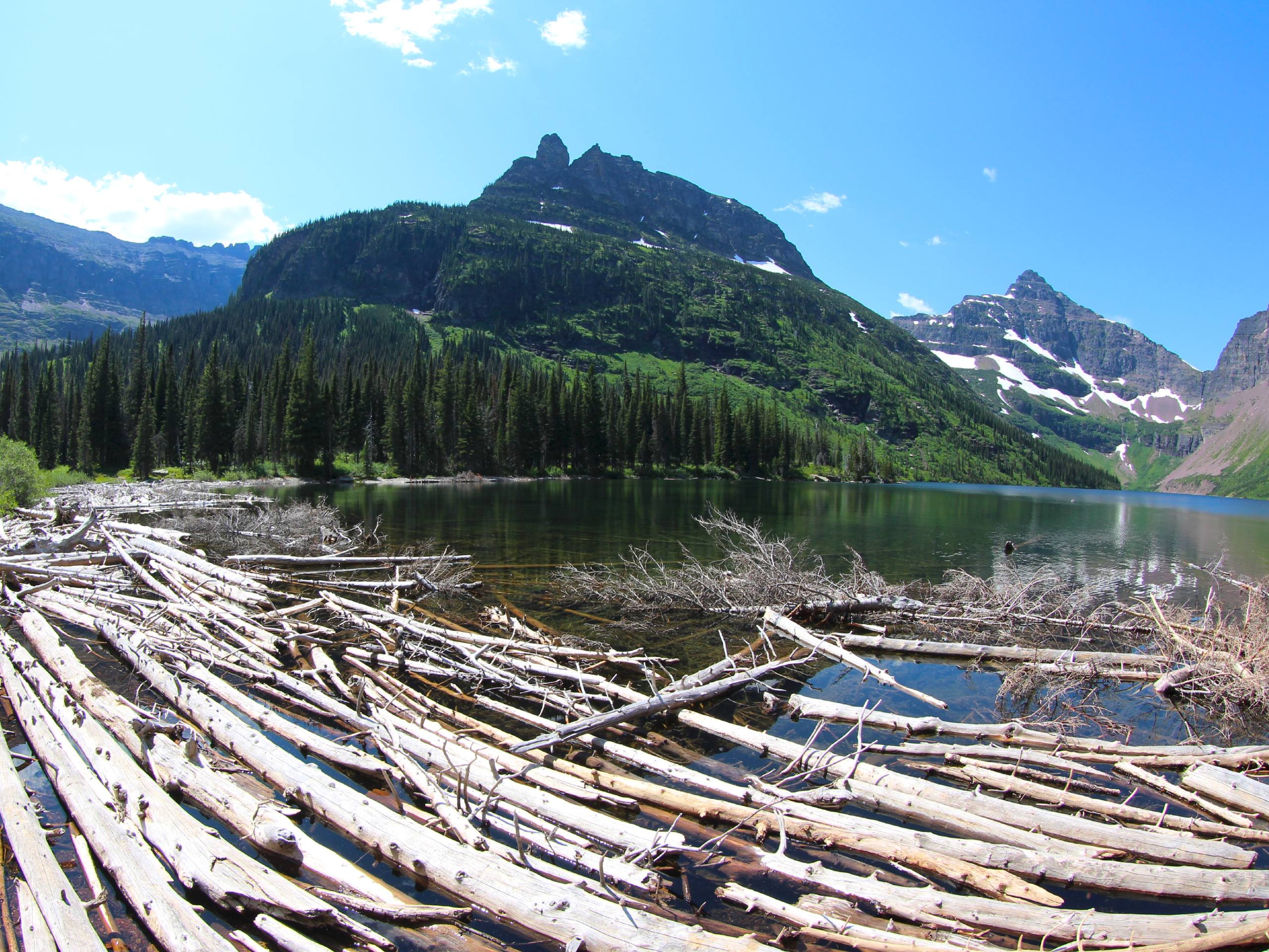 View of Upper Two Medicine Lake