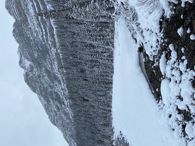 Junction Creek to Junction Falls