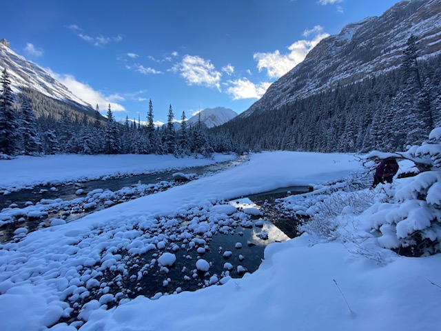 Junction Creek to Junction Falls