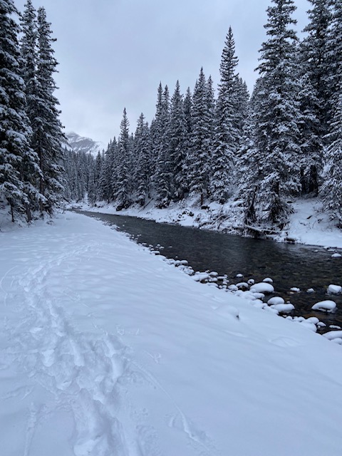 Junction Creek to Junction Falls