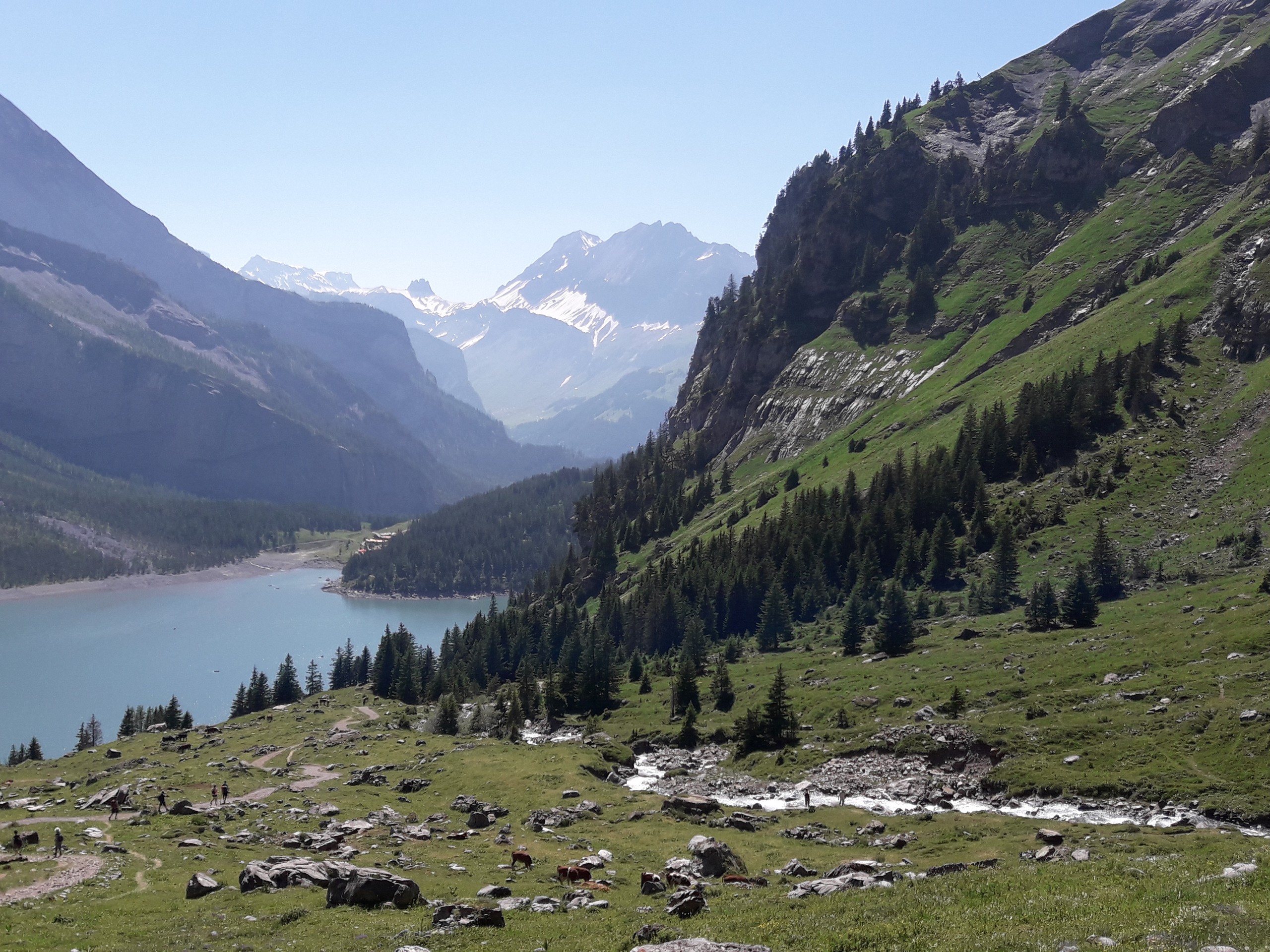 Beautiful views of the Swiss Alps, seen on Frudenhut trail