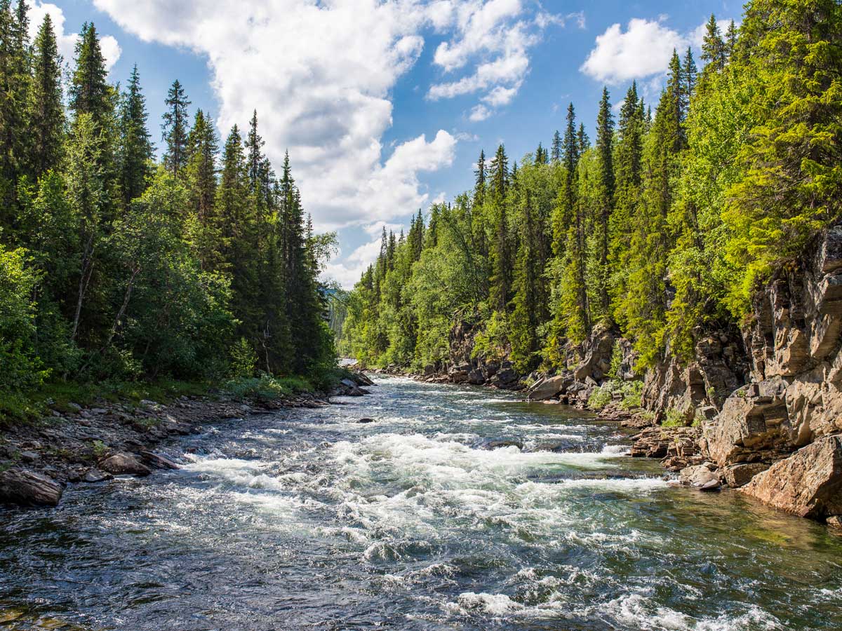 Hiking backpacking Gaddede Sweden