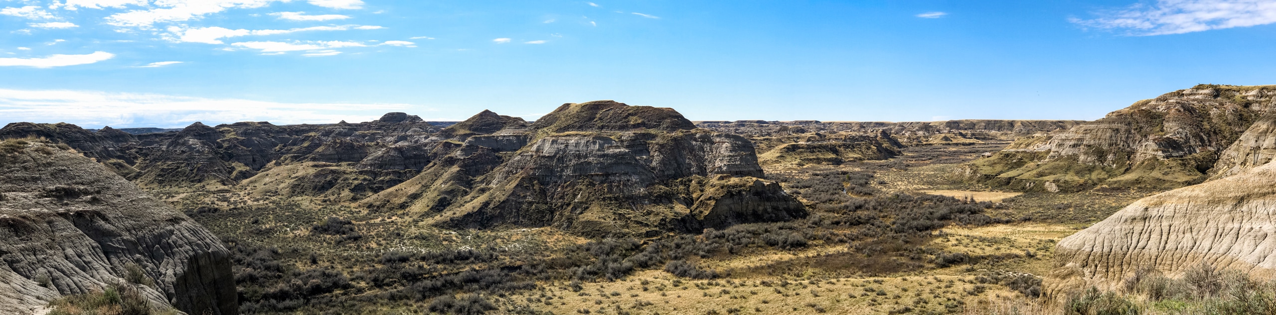 Coulee Viewpoint Trail