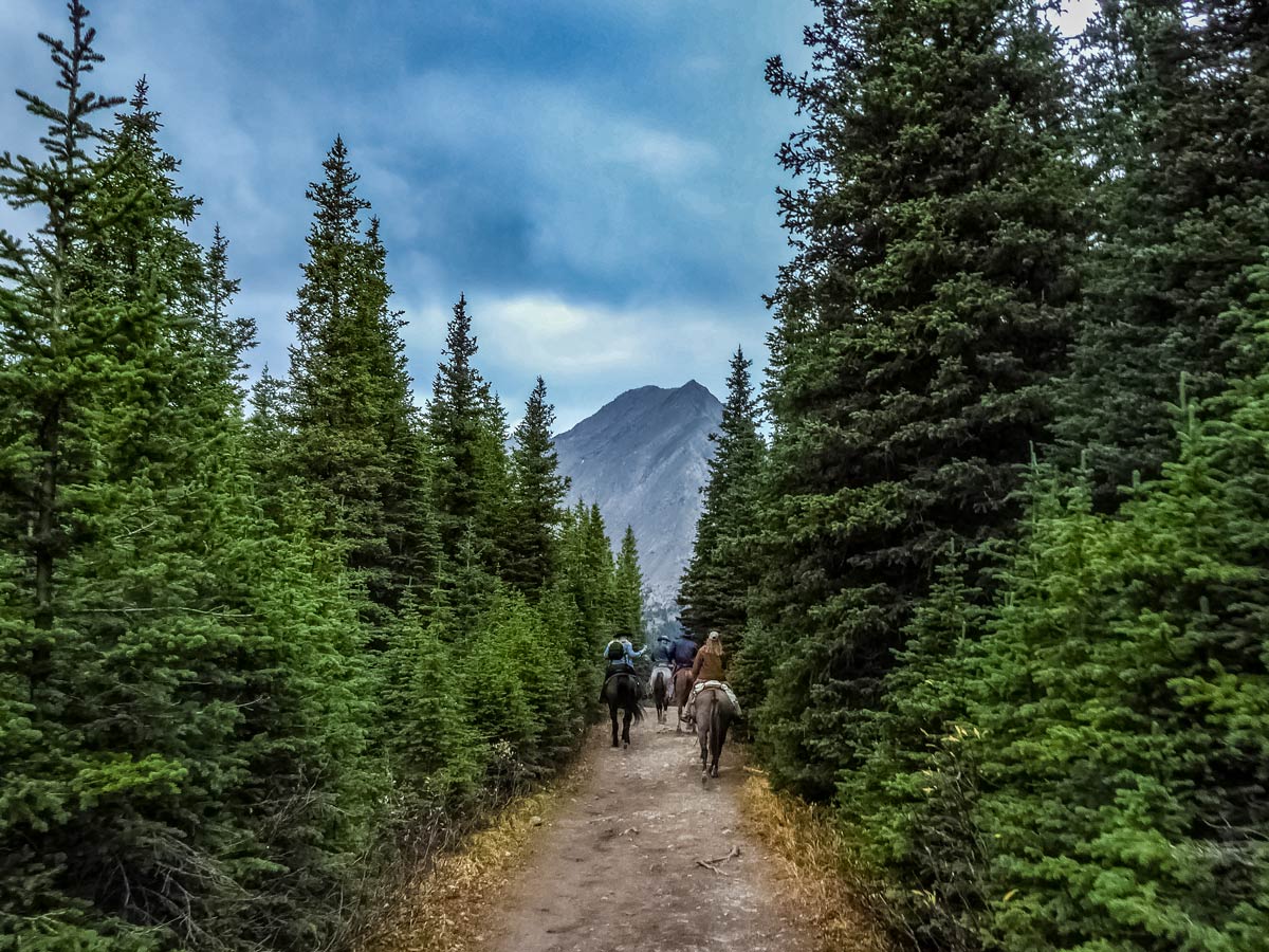 Horseback riding towards Edworthy Falls