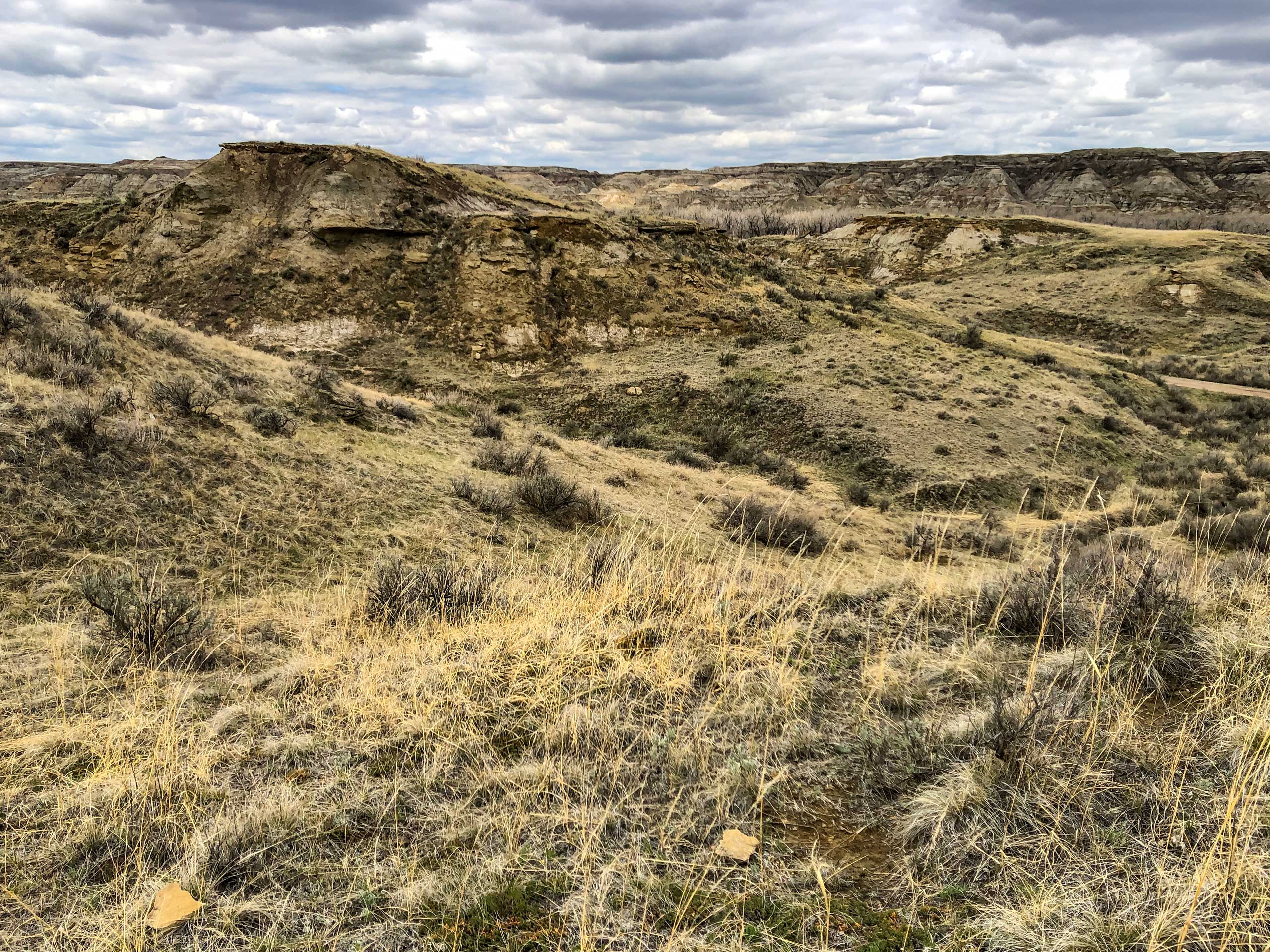 Trail of the Fossil Hunters through the desert in Dinosaur Provincial Park Alberta