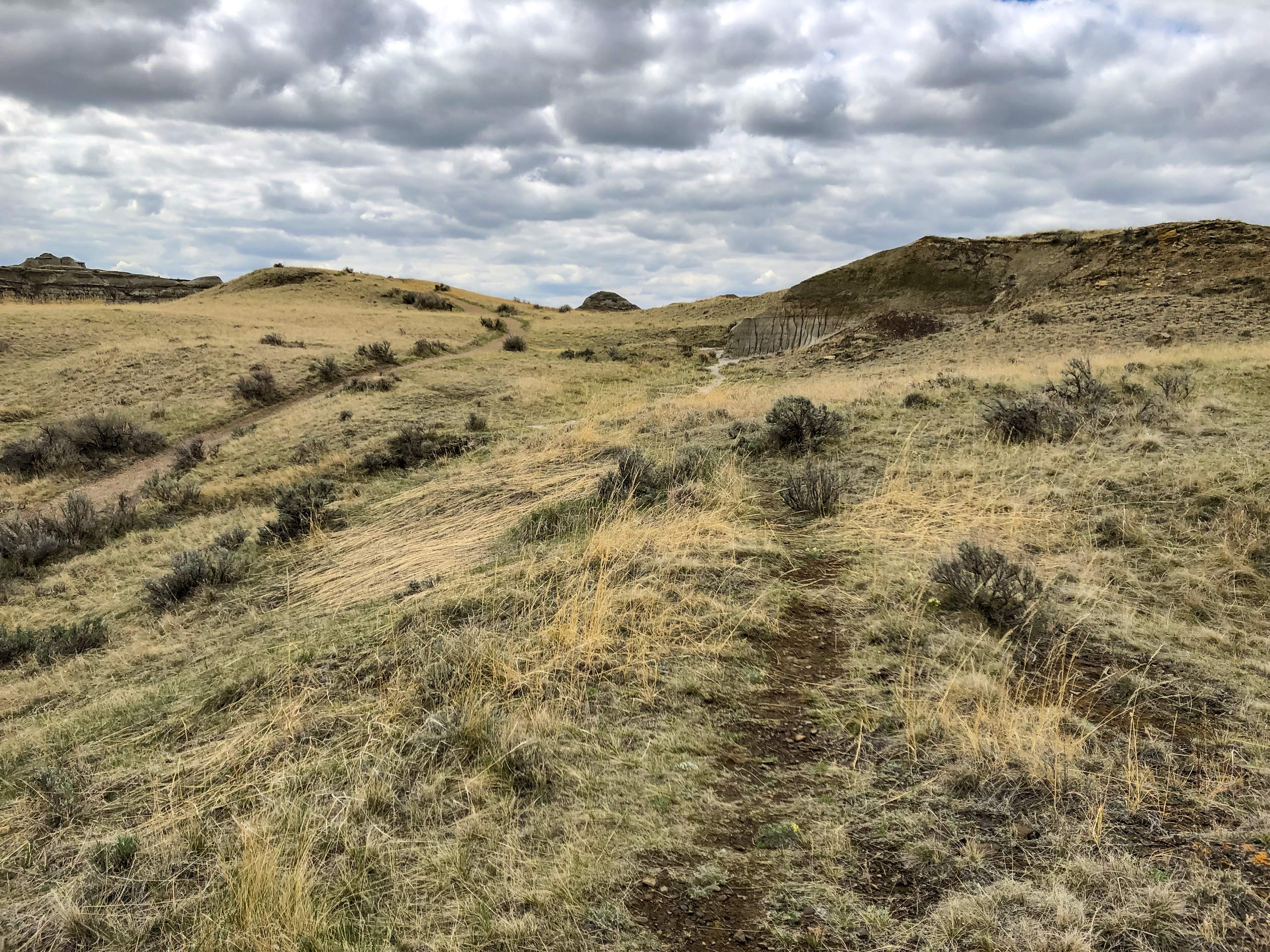 Hiking Trail of the Fossil Hunters in the grasslands of Dinosaur Provincial Park Alberta