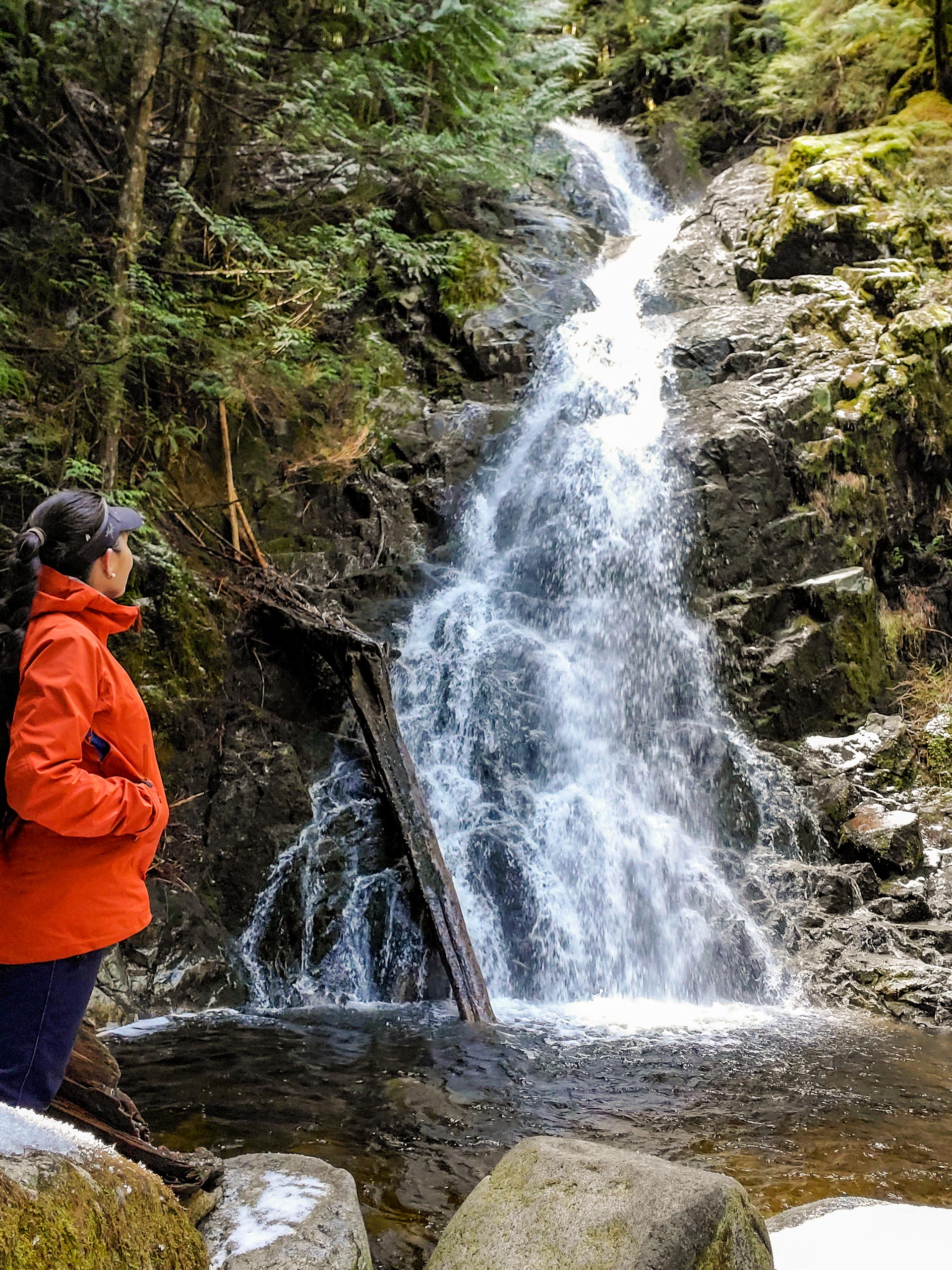 Coquitlam Lake View Trail