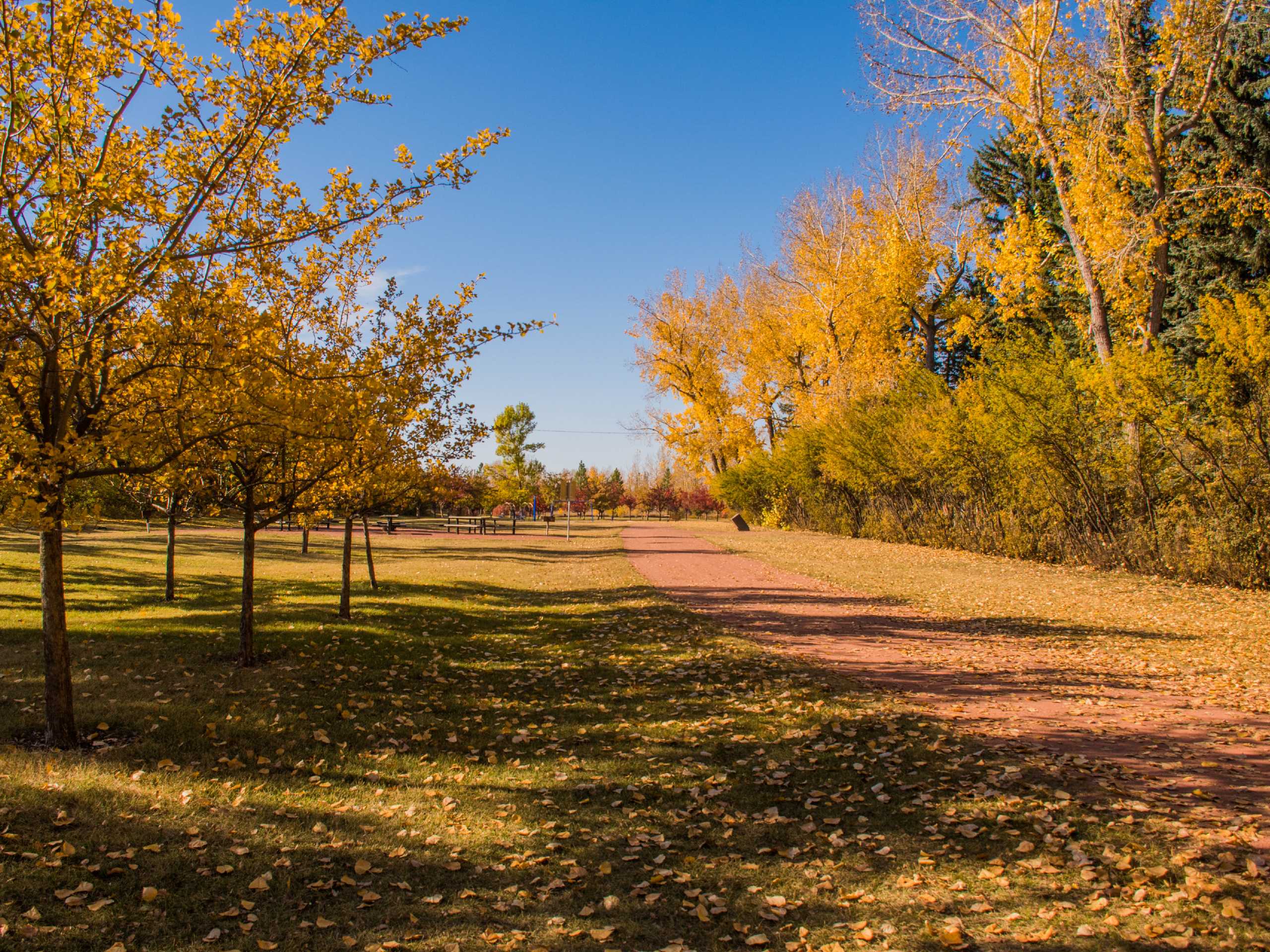 Edworthy Park