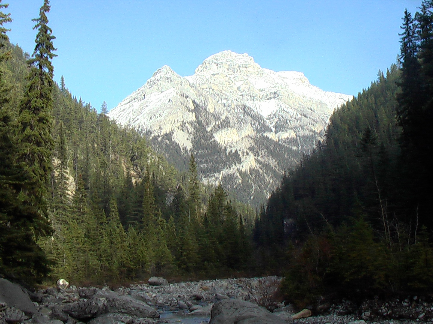 Cougar Creek Trail