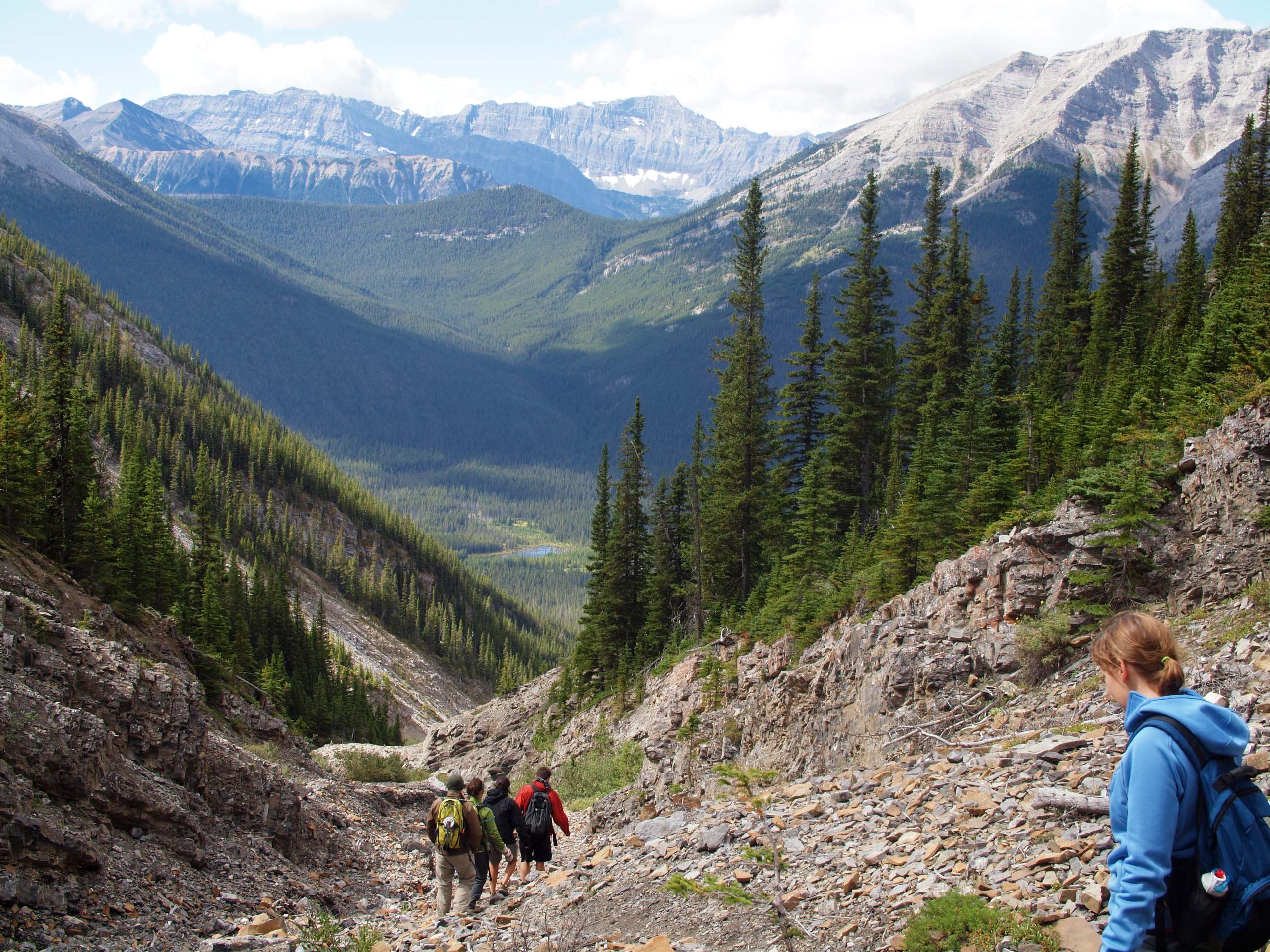 Three Sisters Pass Trail