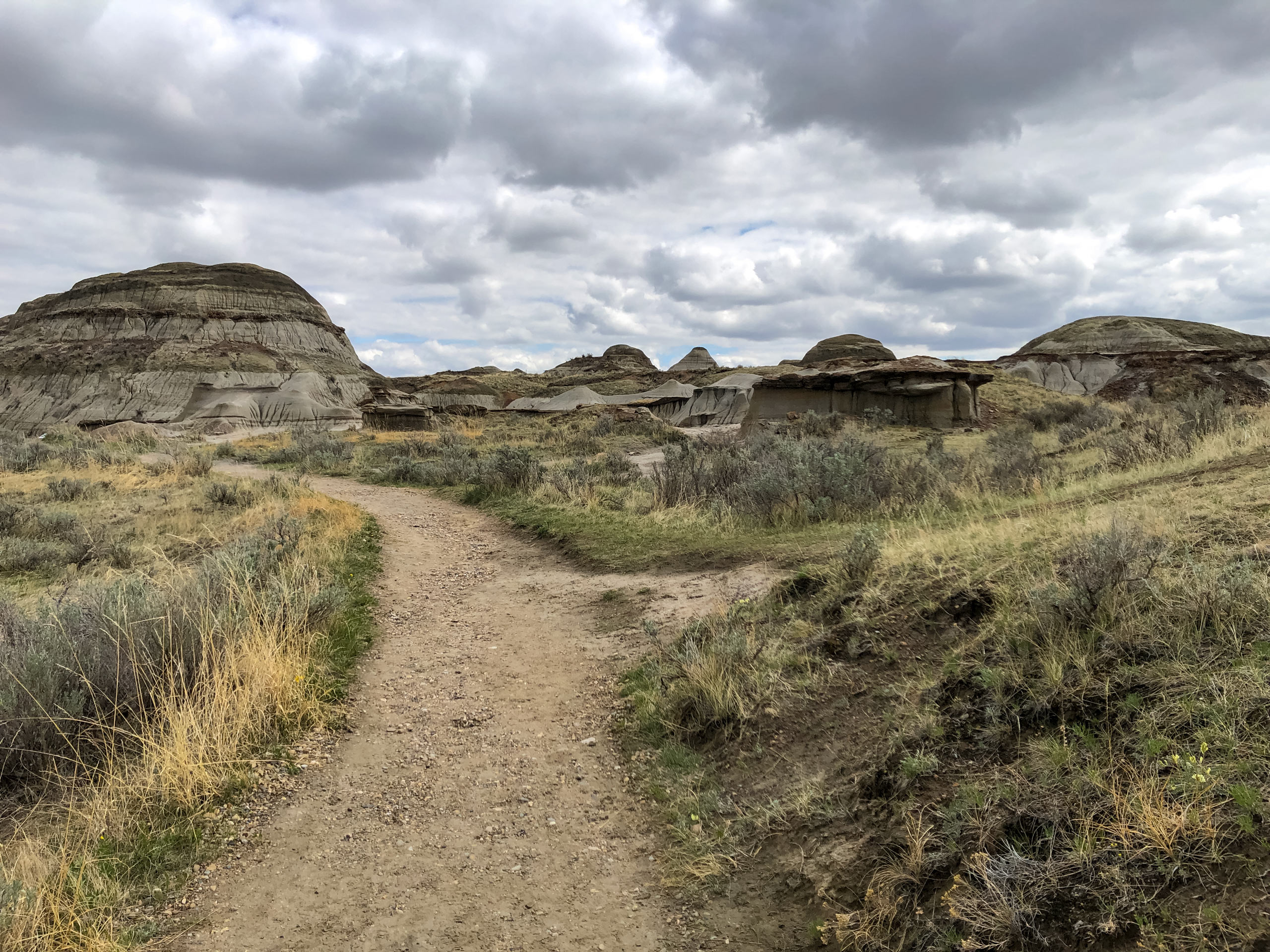 Natural hoodoos and rock formations along Badlands Trail in Dinosaur Provincal Park Alberta