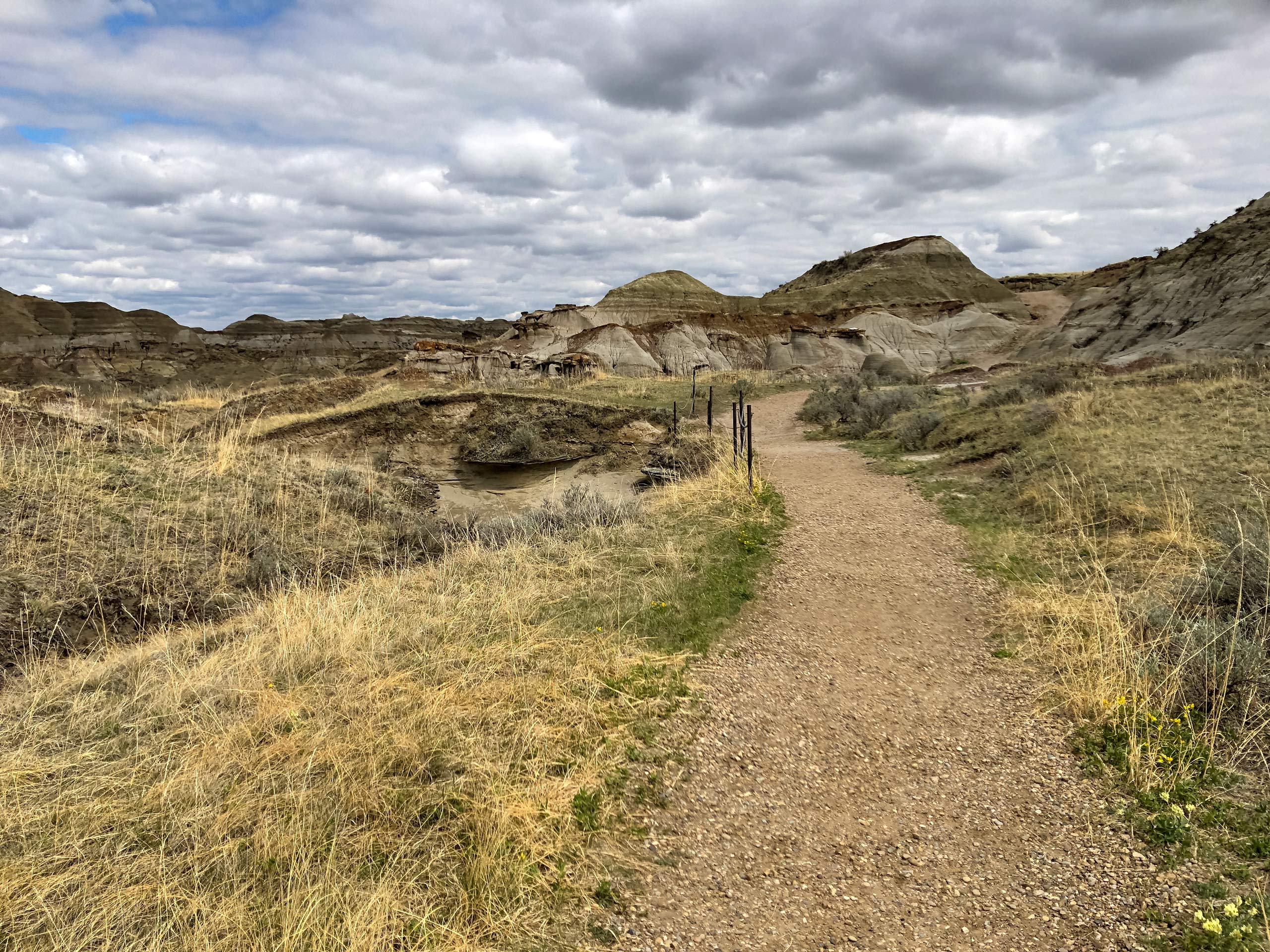 Badlands Trail climbing into the hills of Dinosaur Provincial Park