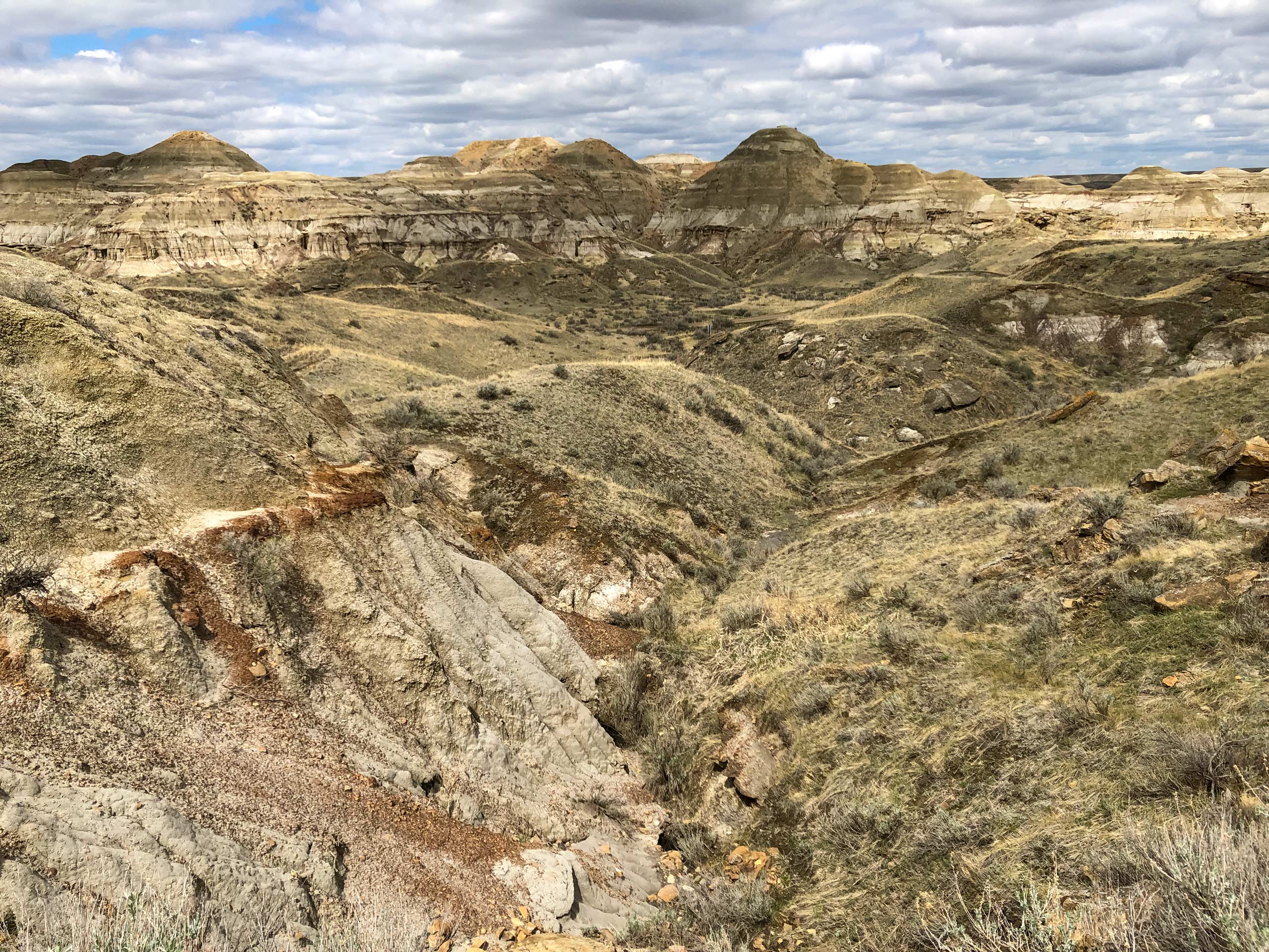 Visible rock layers in the canyons of Badlands Trail in Dinosaur Provincial Park