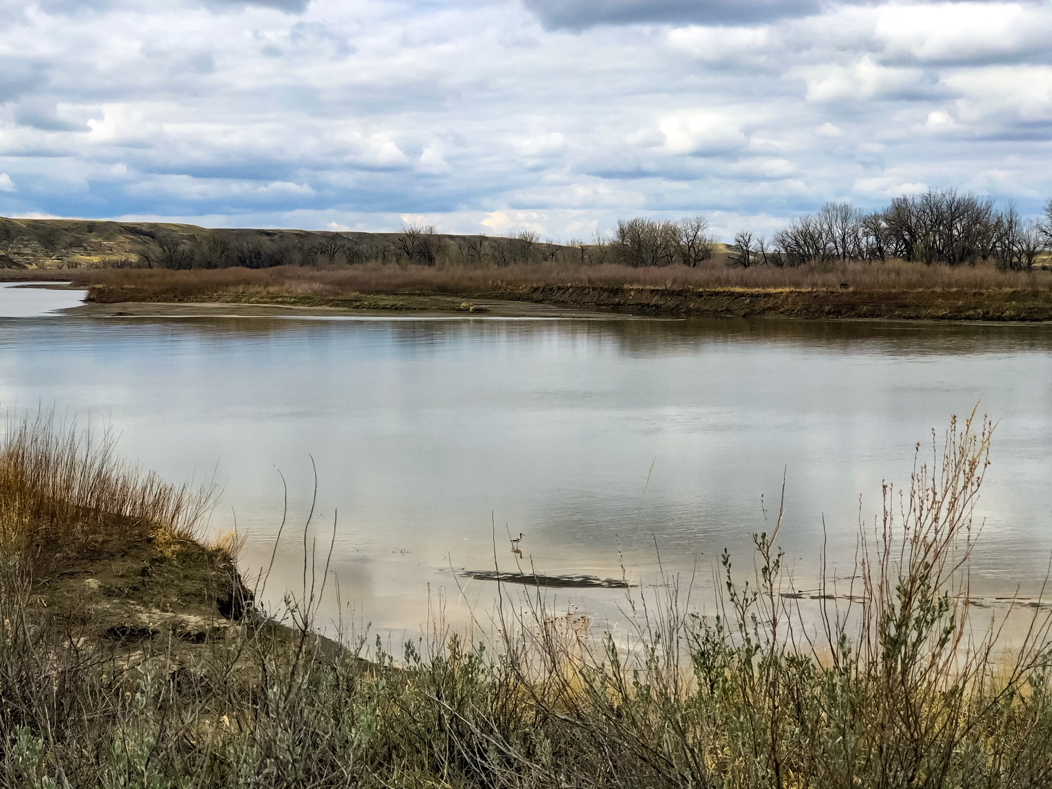 Cottonwood Flats shallow river shore in Dinosaur Provincal Park Alberta