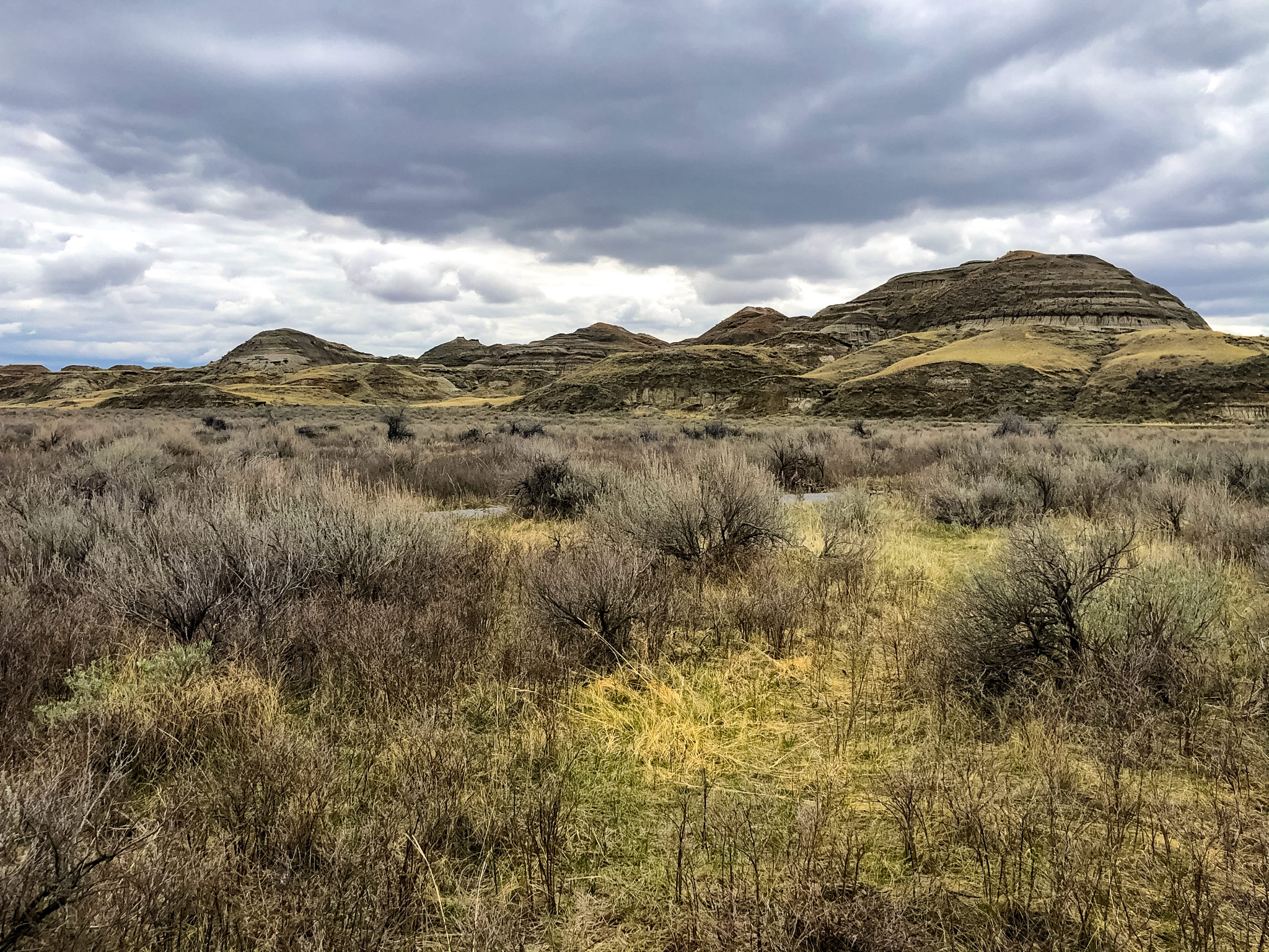 Unique landscape Cottonwood Flats Dinosaur Provincal Park Alberta