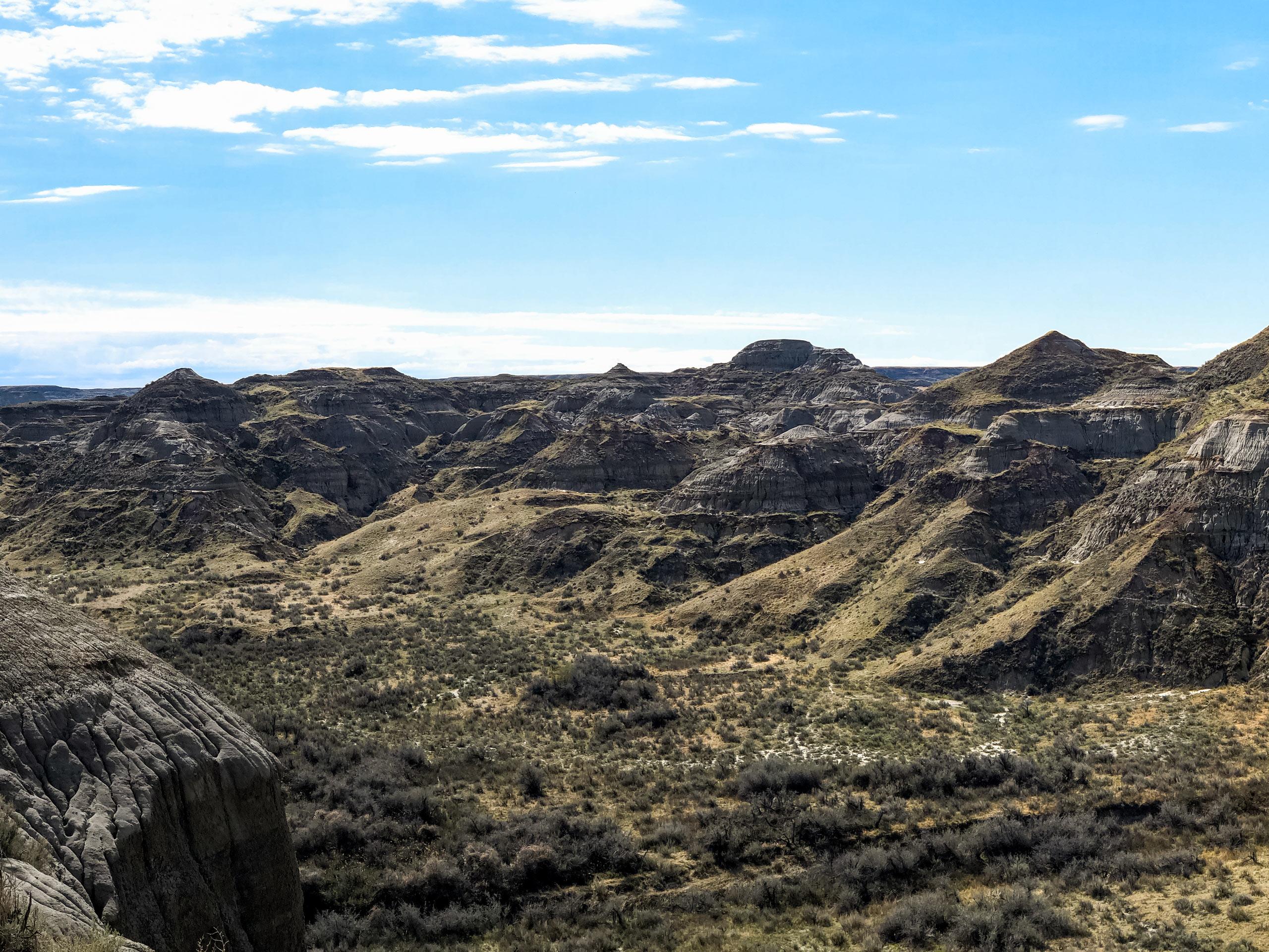 Panorama looking down into the canyon from Coulee Viewpoint Dinosaur Provincial Park Alberta