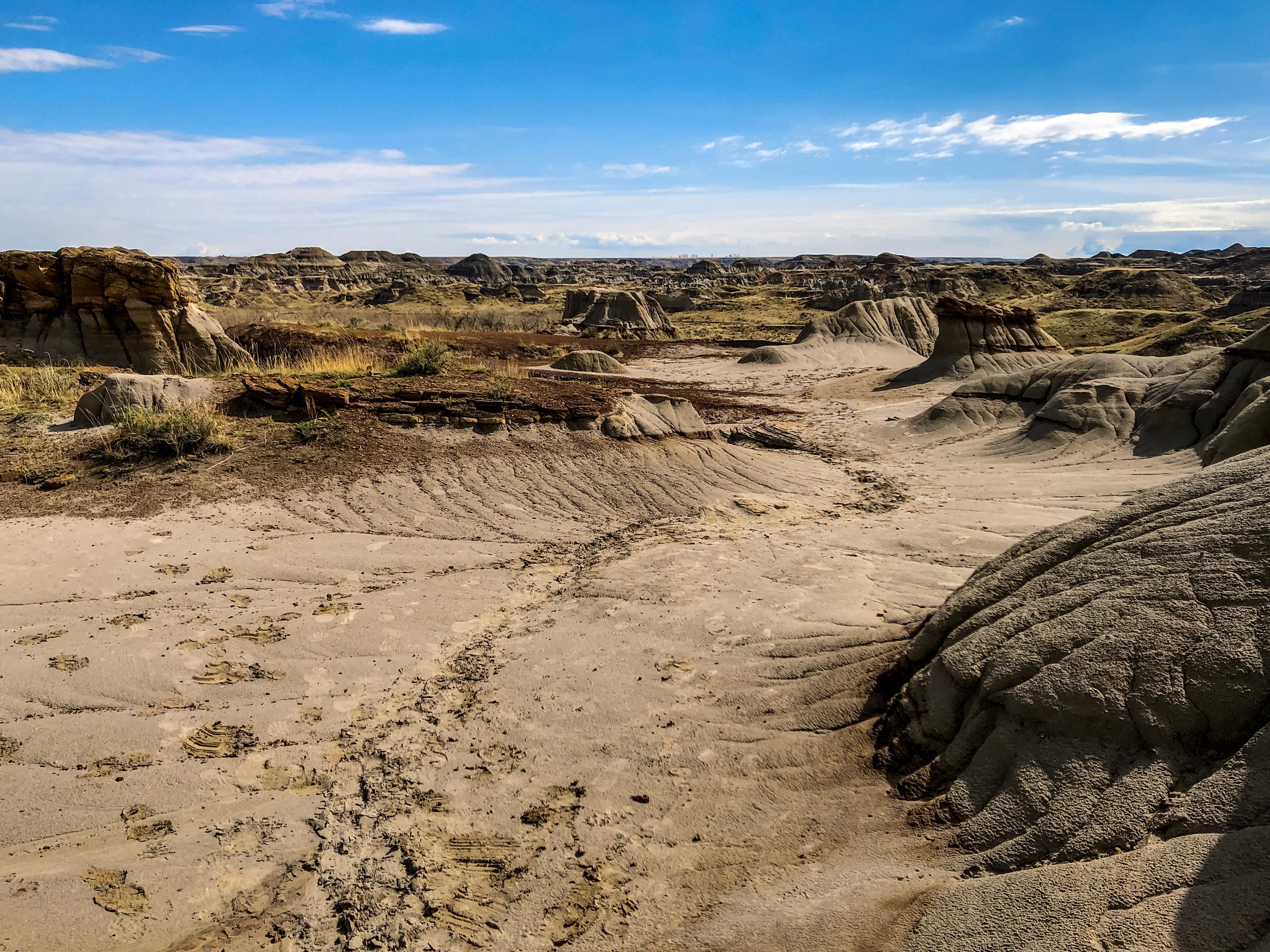 Footprints in the dirt along Coulee Viewpoint Dinosaur Provincial Park Alberta