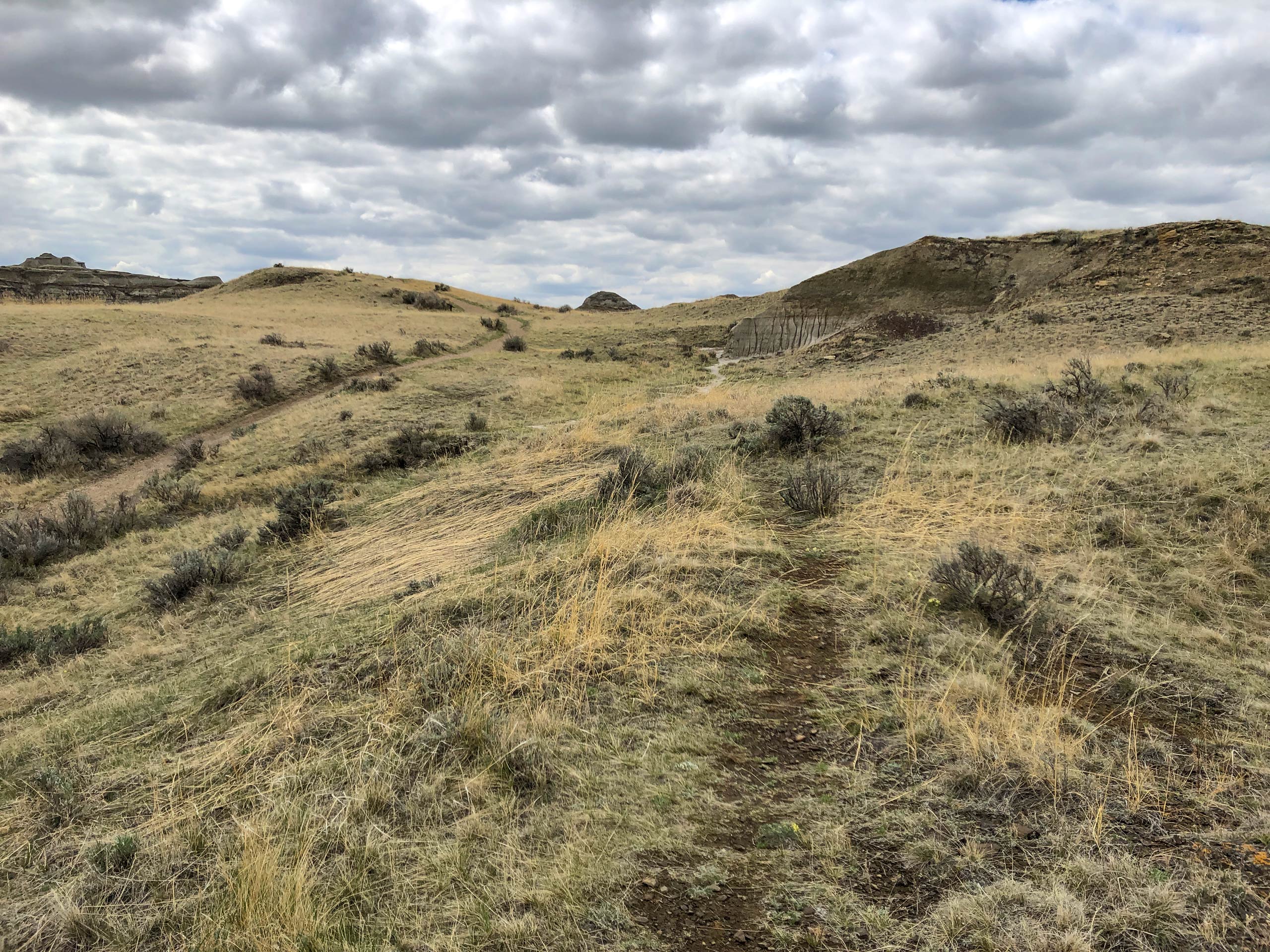 Scenic Loop trail through the grass prairies of Dinosaur Provincial Park Alberta
