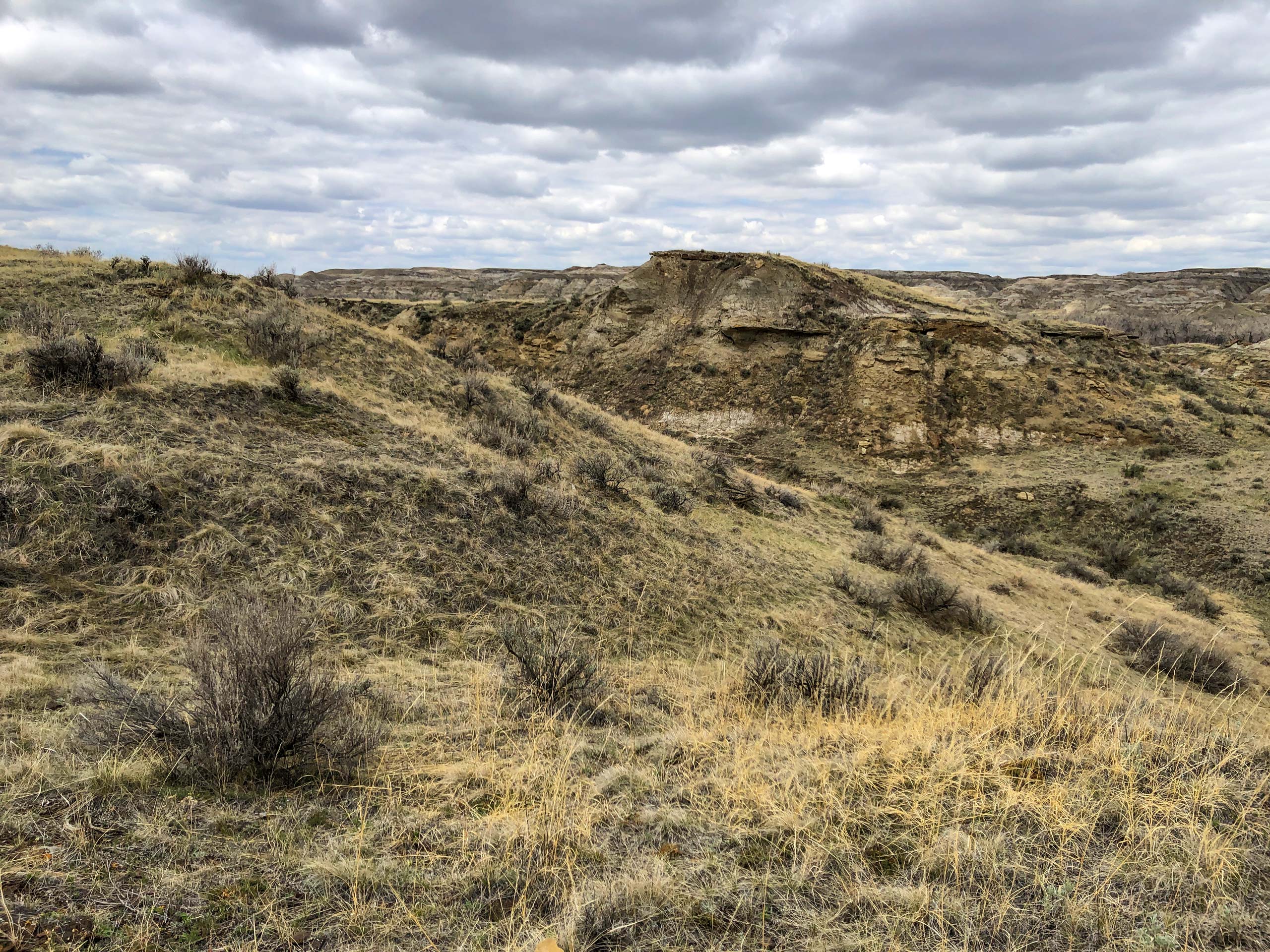 Scenic Loop trail under cloudy sky Dinosaur Provincial Park Alberta